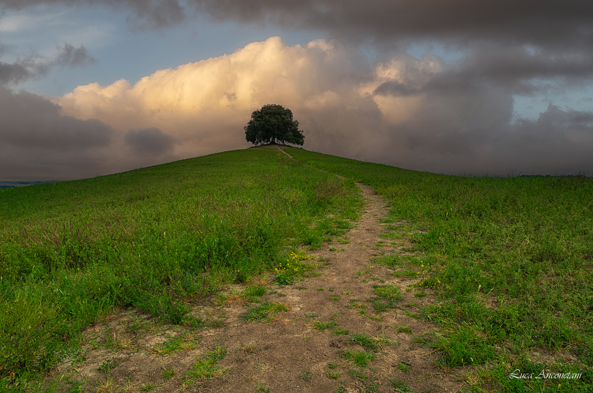 On top of the hill