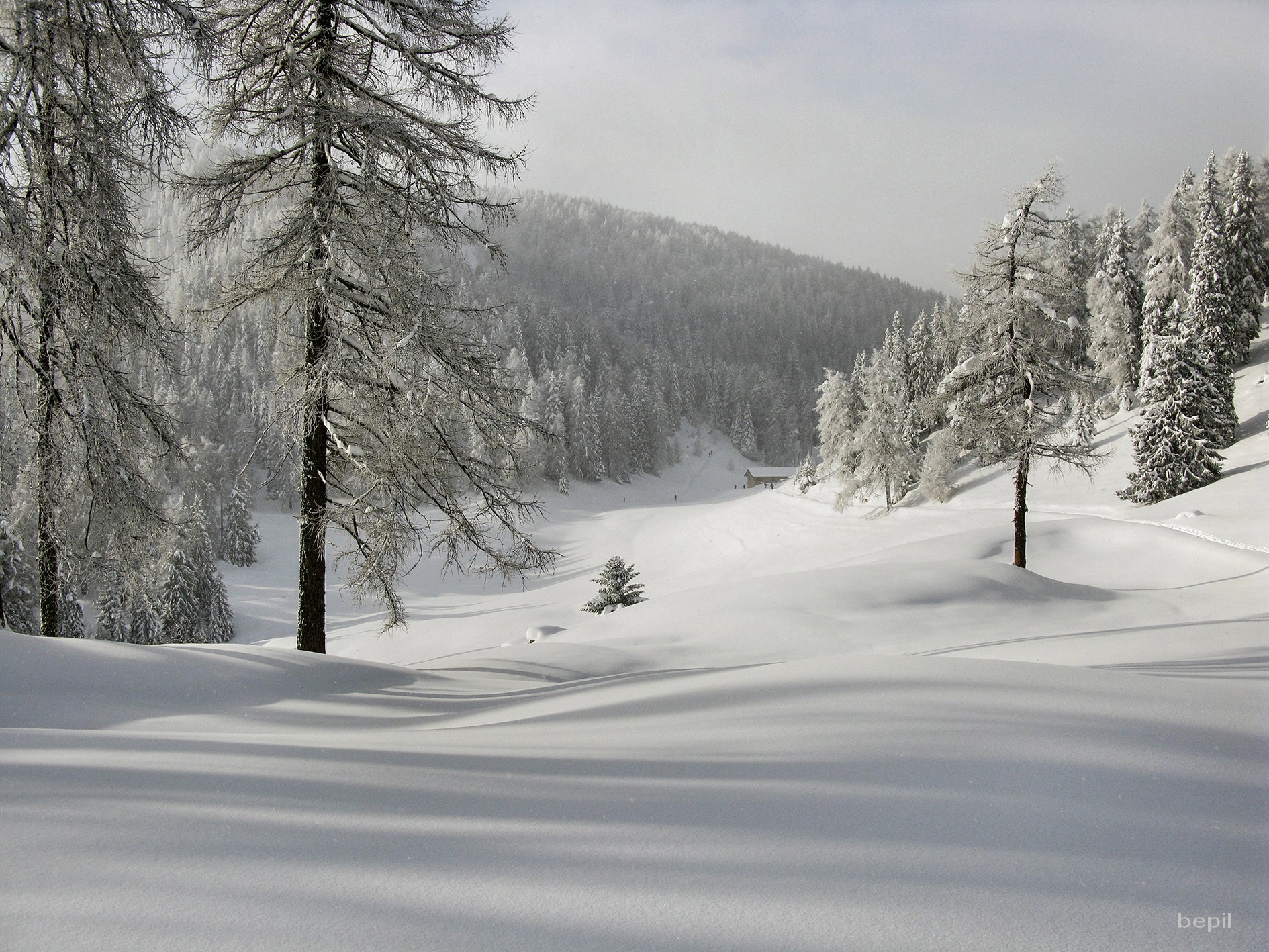 Malga di Romeno