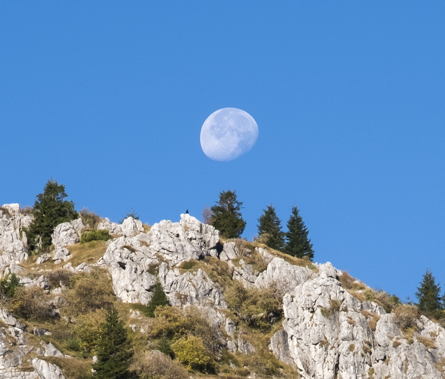 Sul Monte Grappa