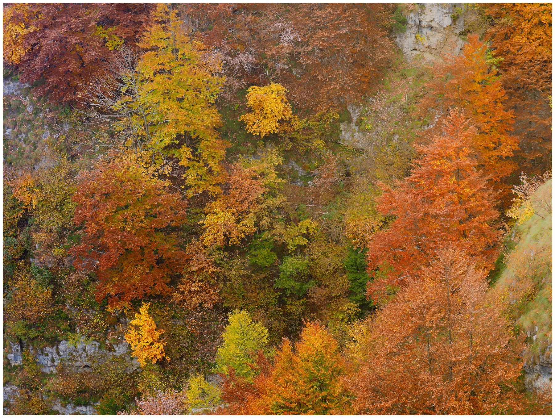Autunno in Val Sgarabozza