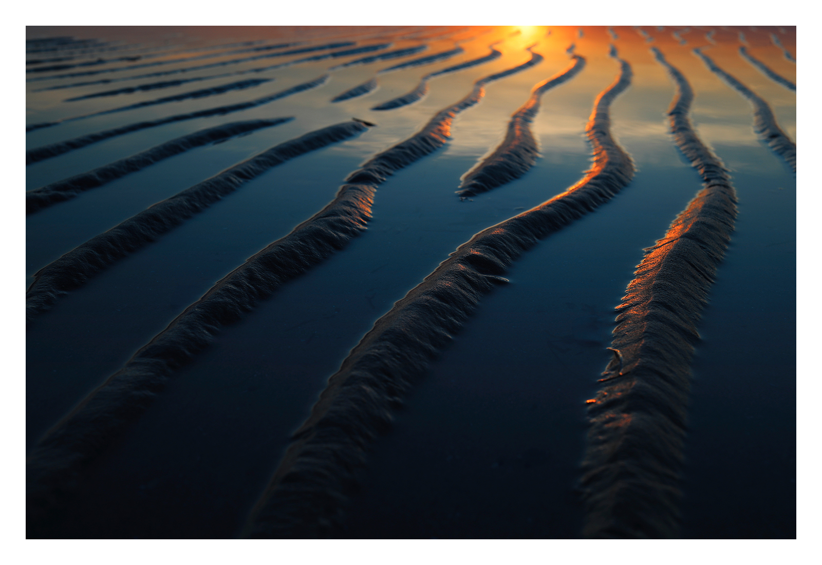 Le strade del mare