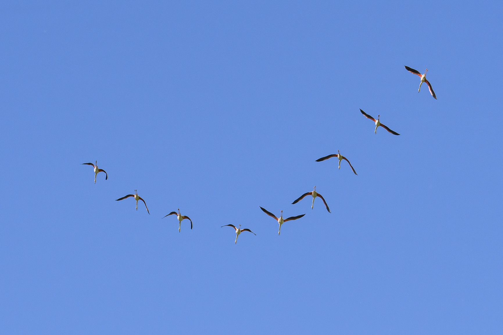 Untitled Photo