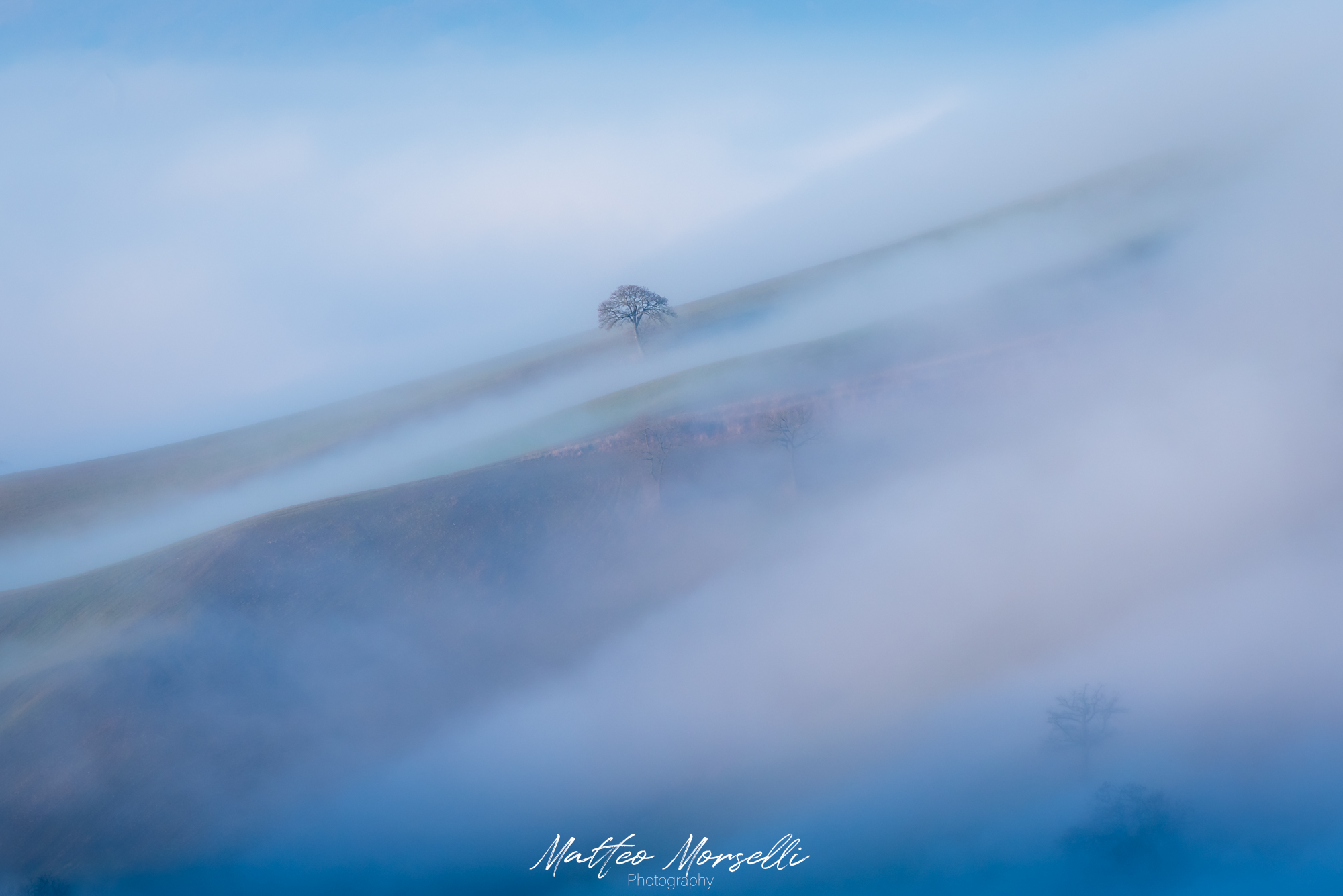 Nebbia gelida