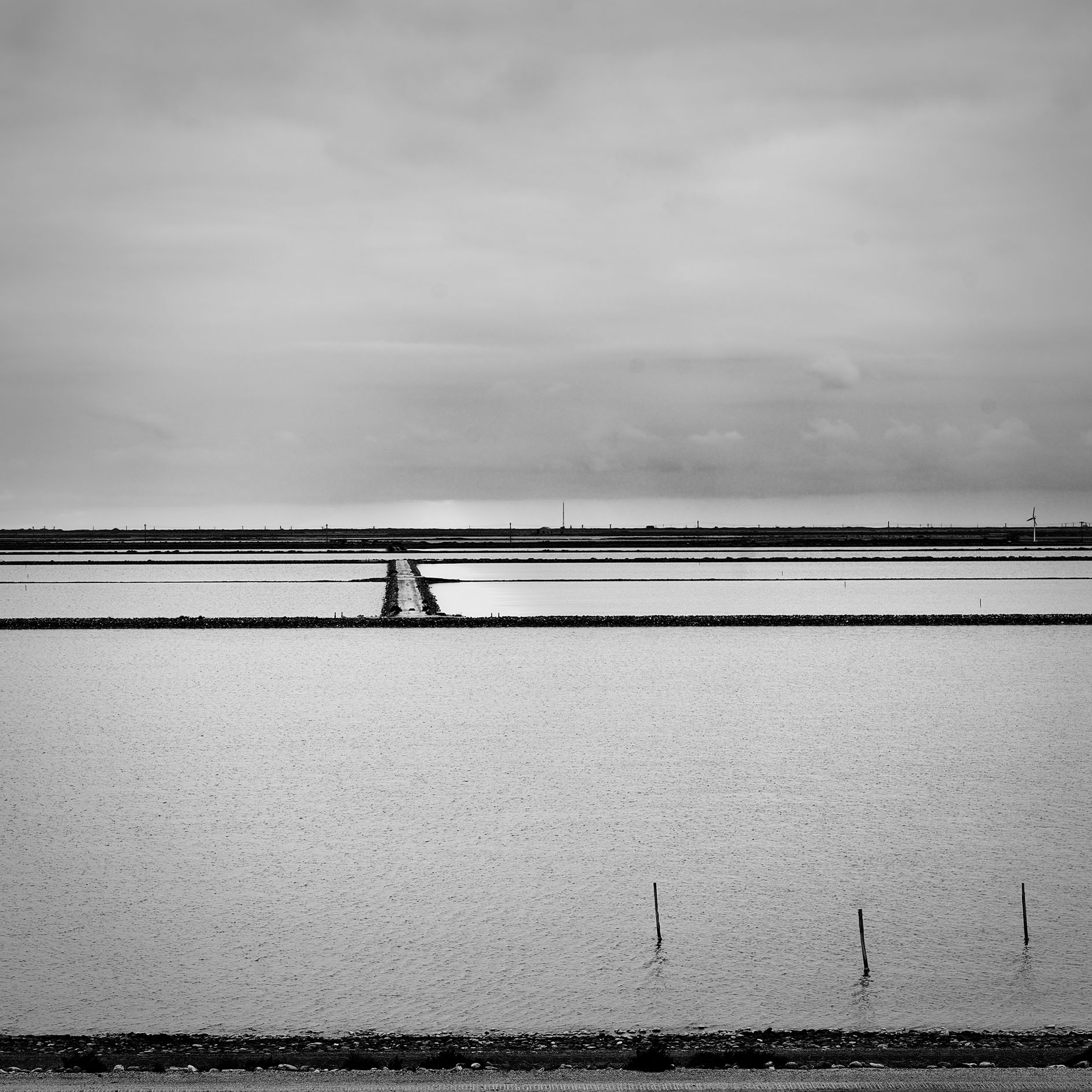 Saline di Camargue