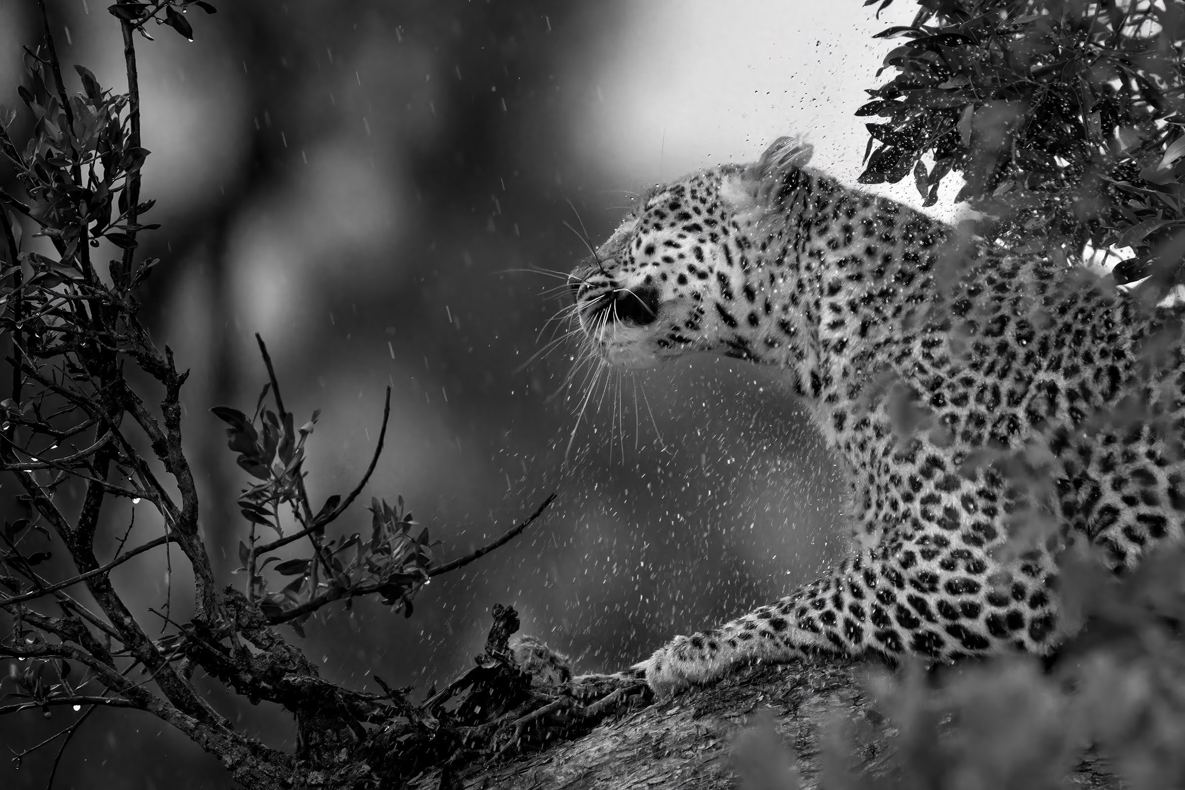 In the rain....