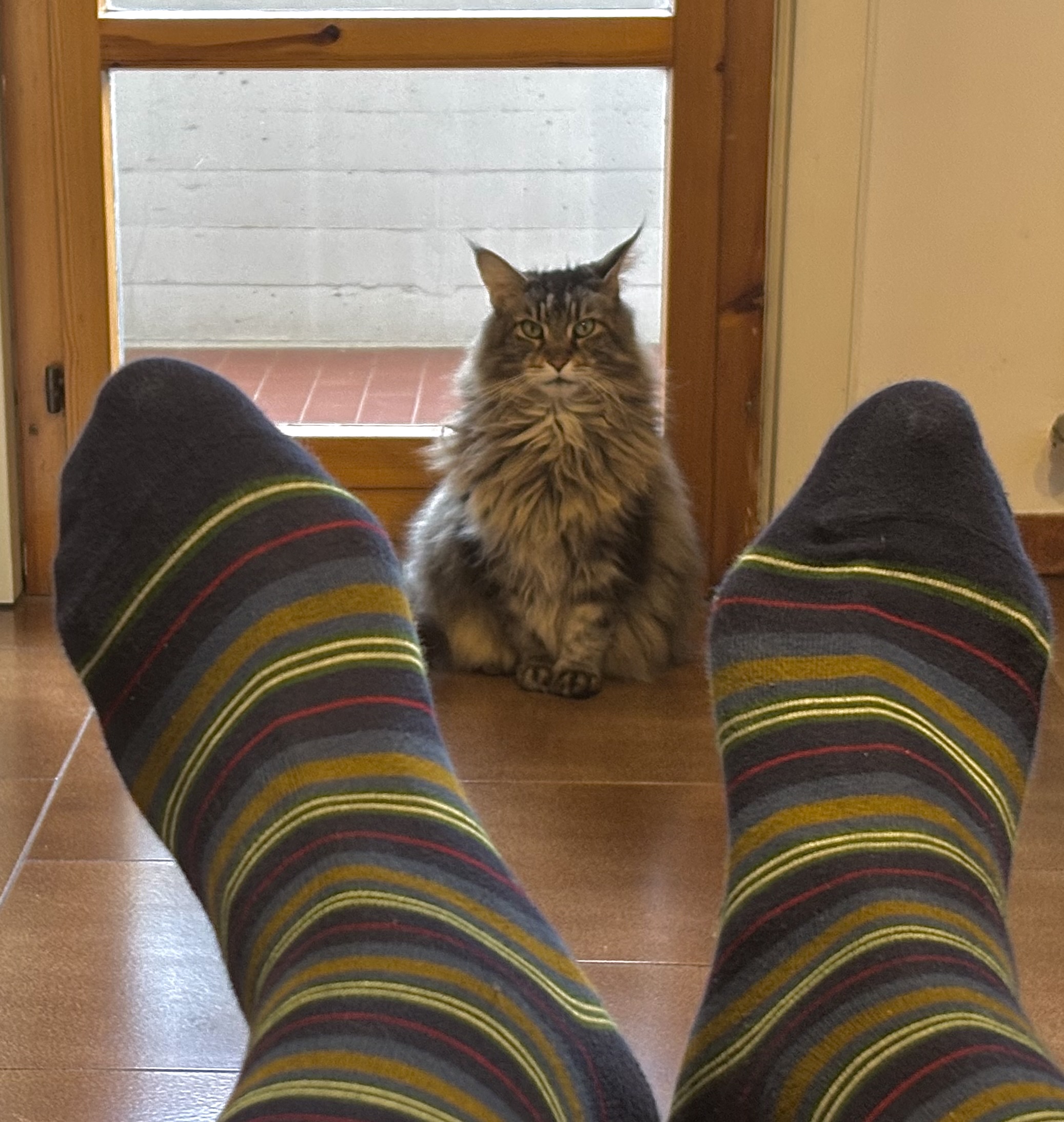 I relax and Balu keeps an eye on me