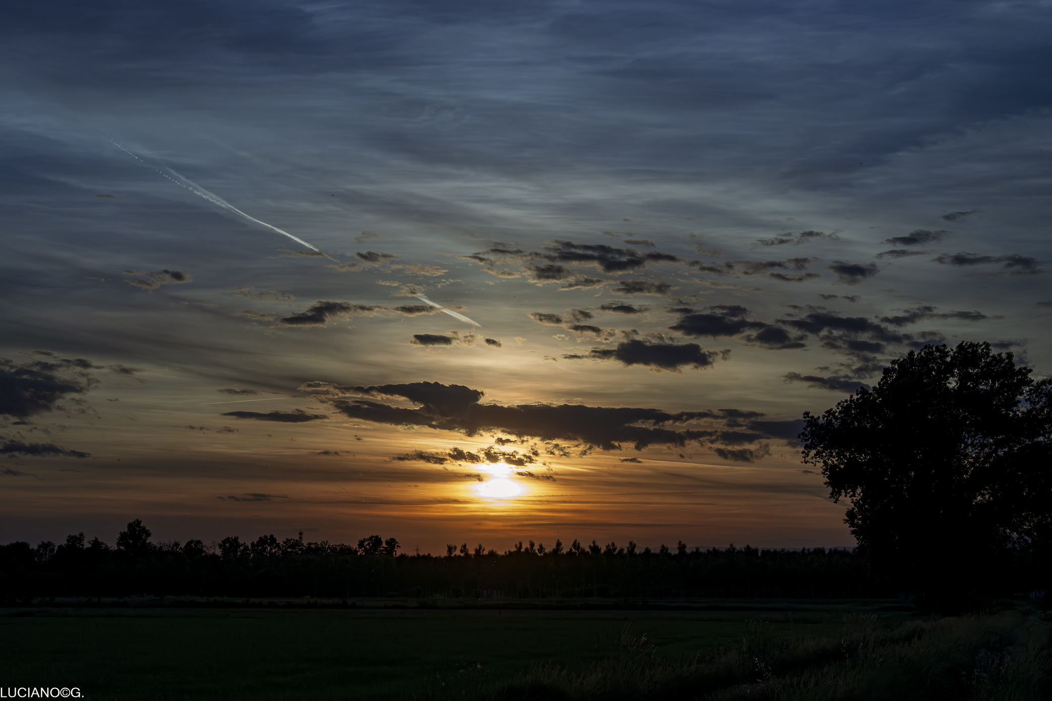 Untitled Photo