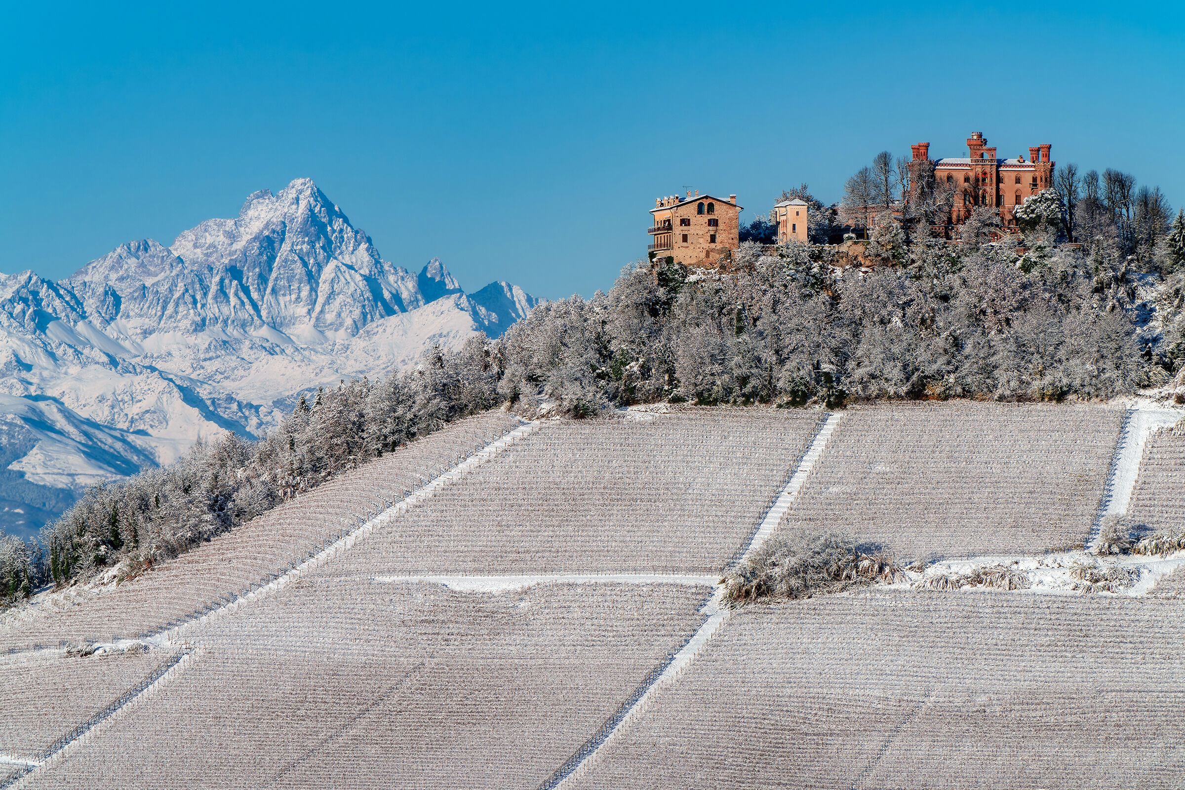 Snow-covered vineyards, Novello and Monviso