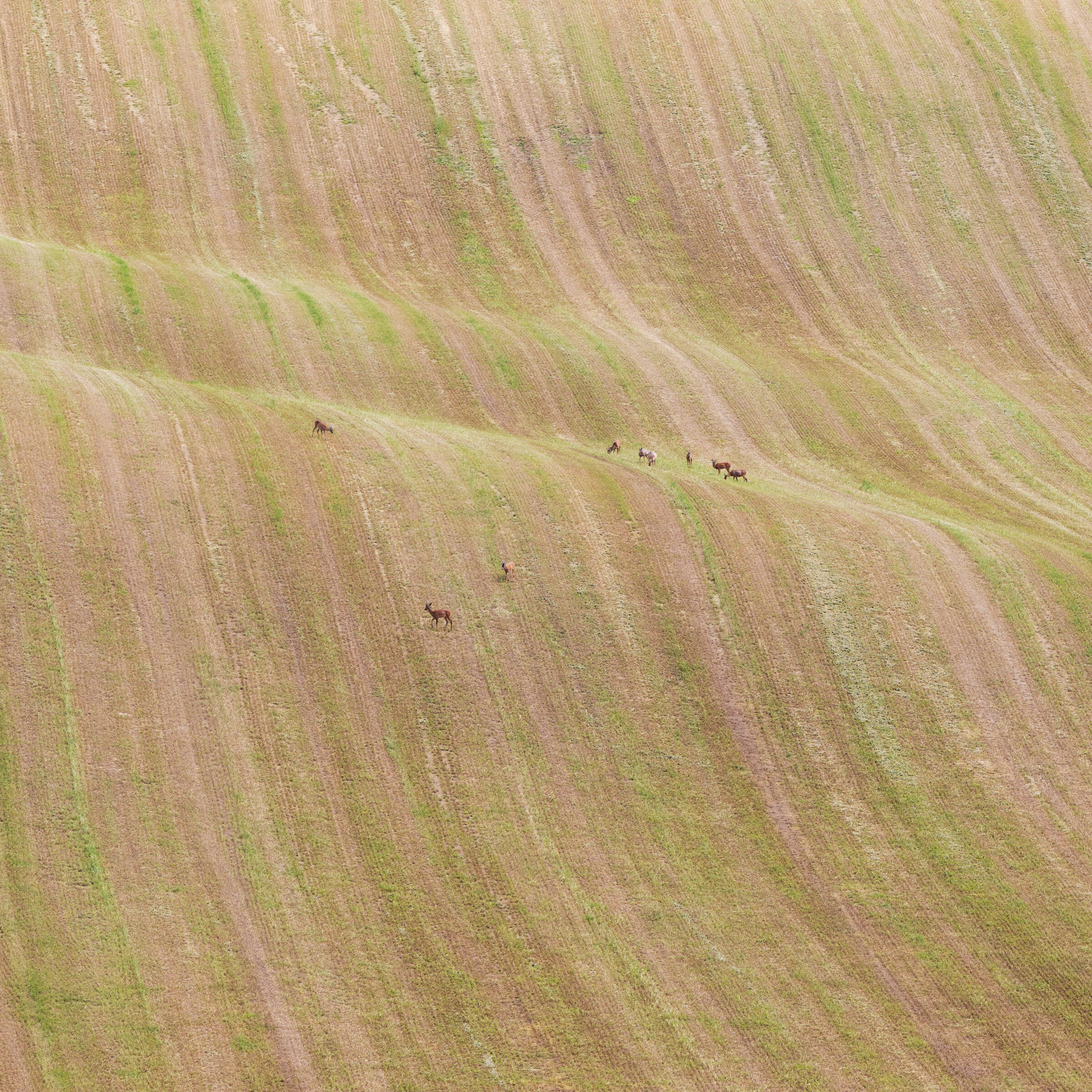 Sulla cresta dell'onda