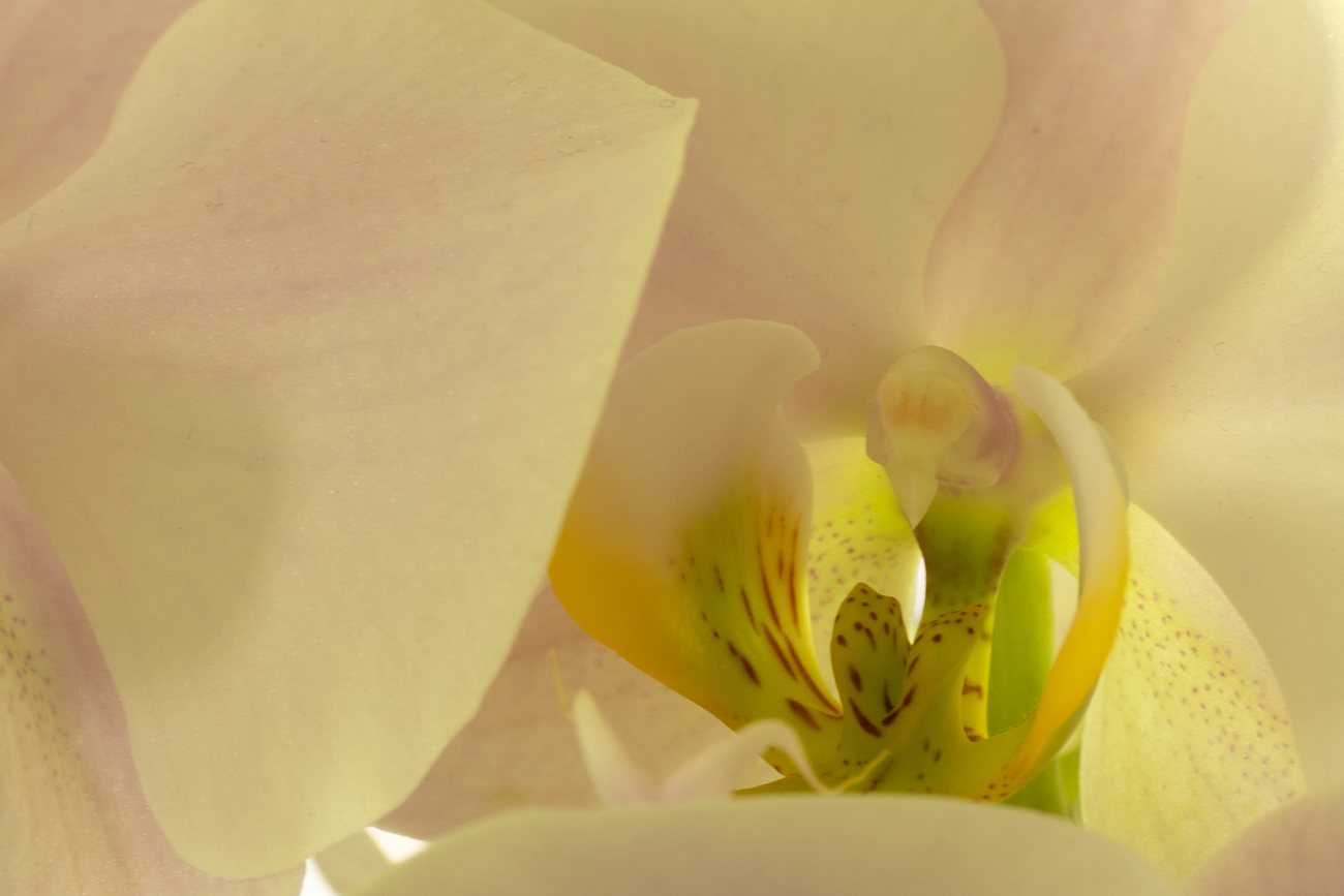 Untitled Photo