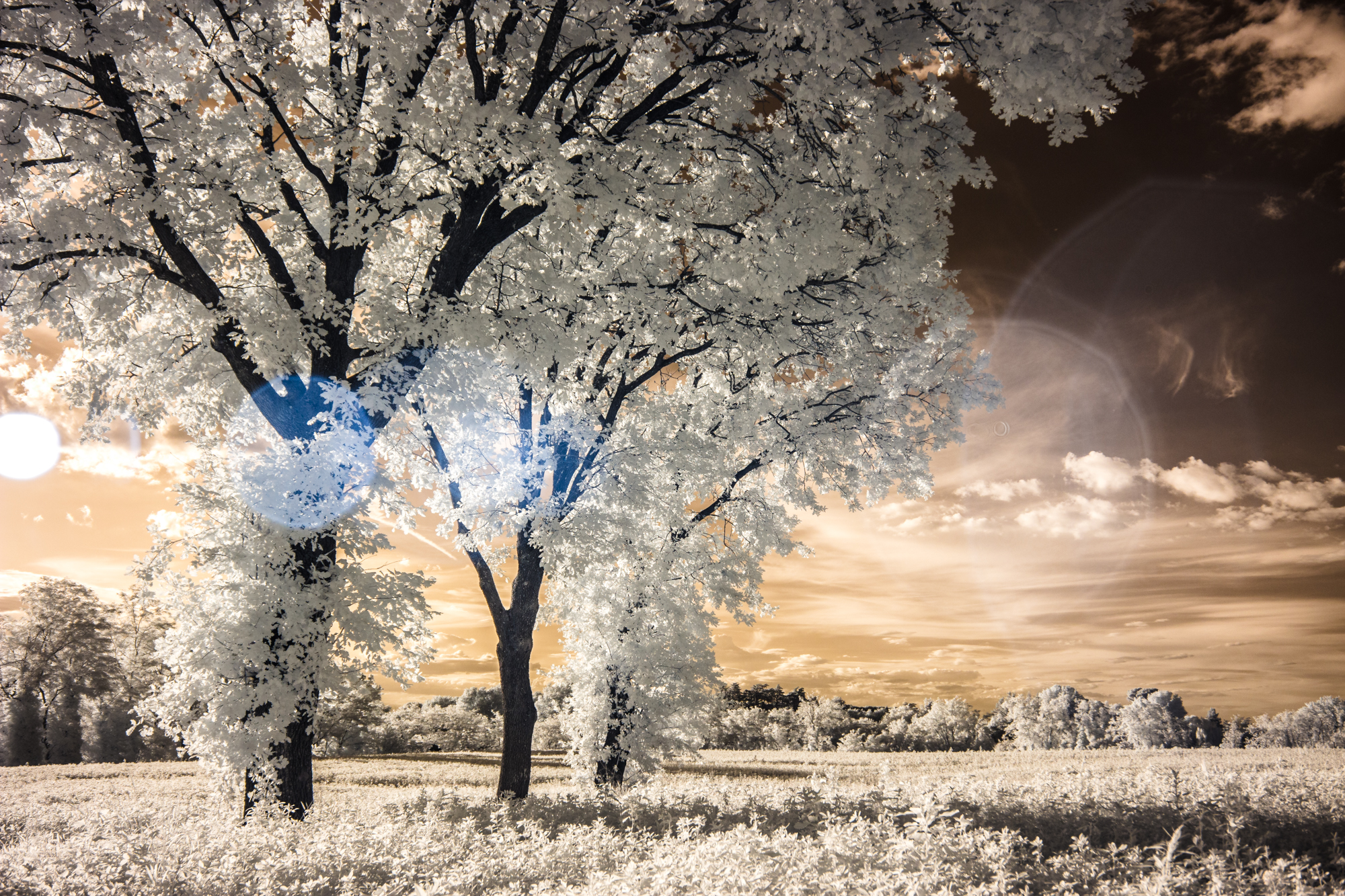 Campagne faentine