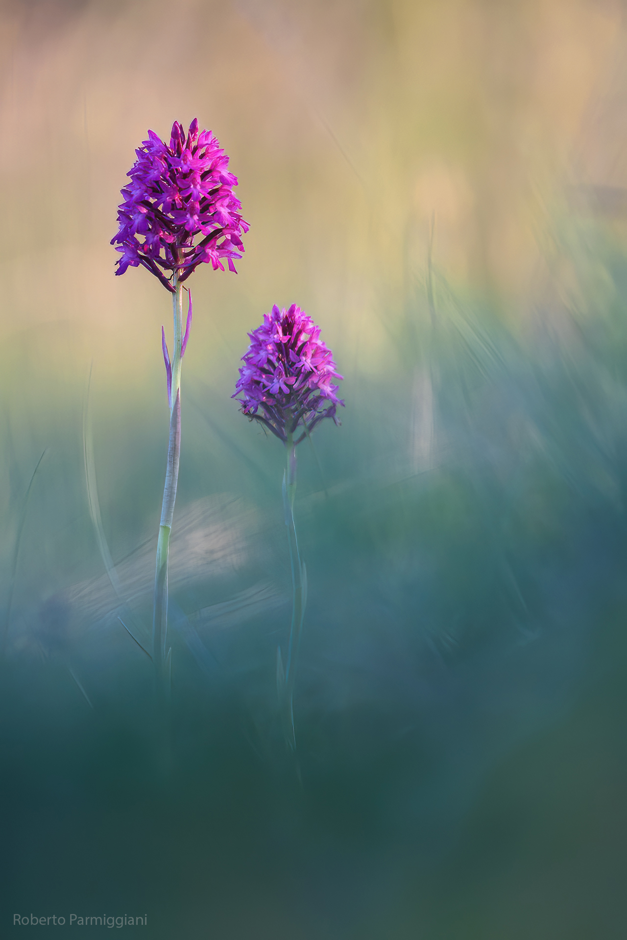 Natural art
