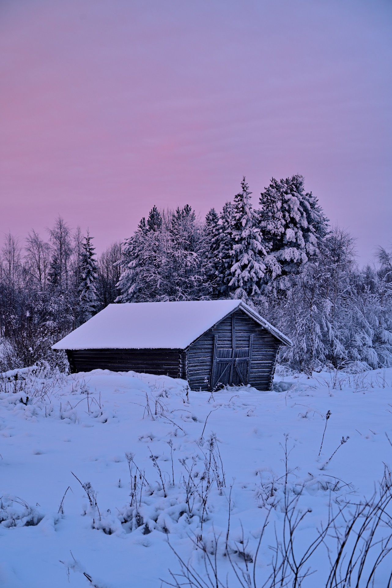 Morning in Putaanvainio (-28*)