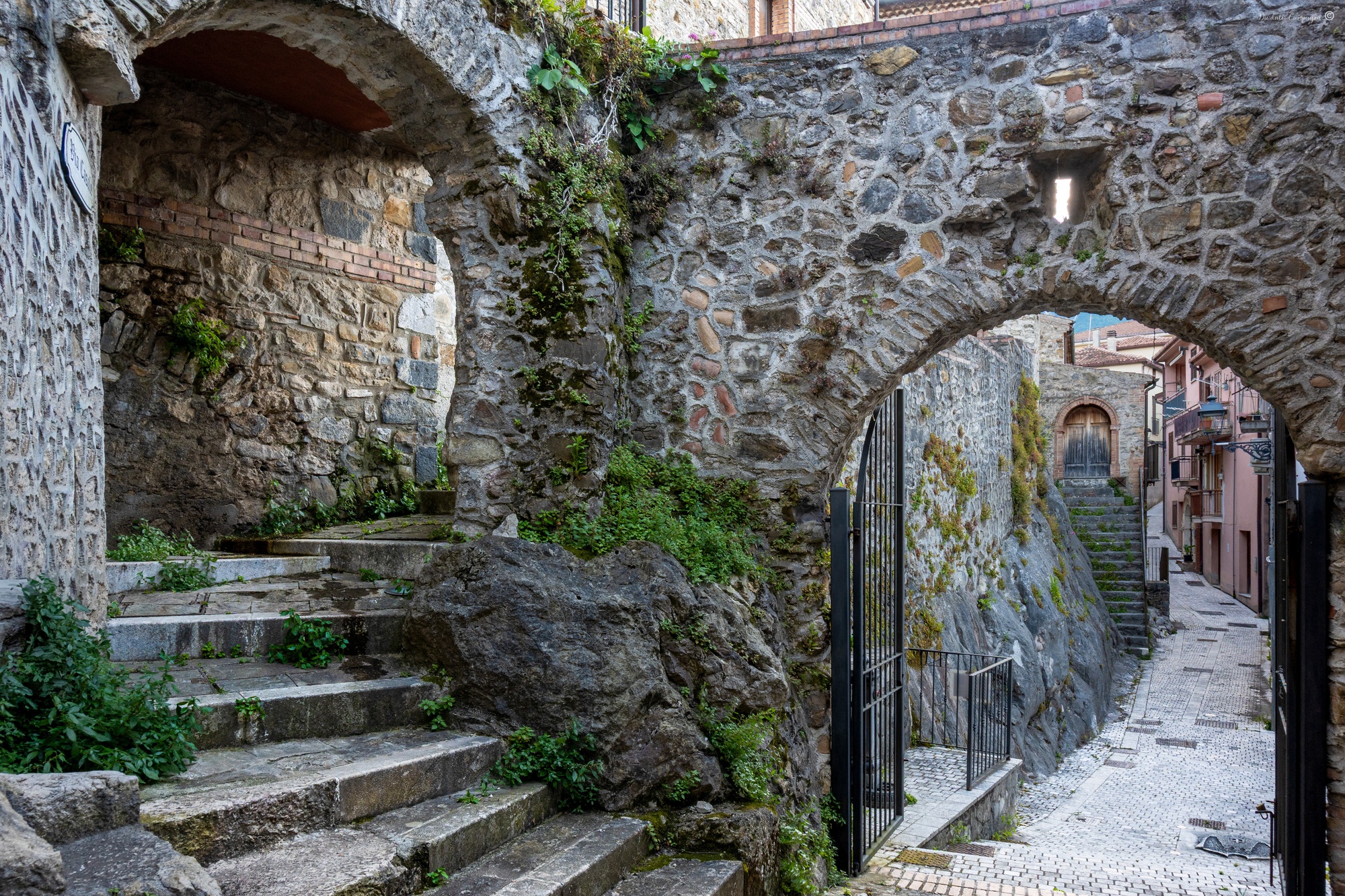 Quaglietta