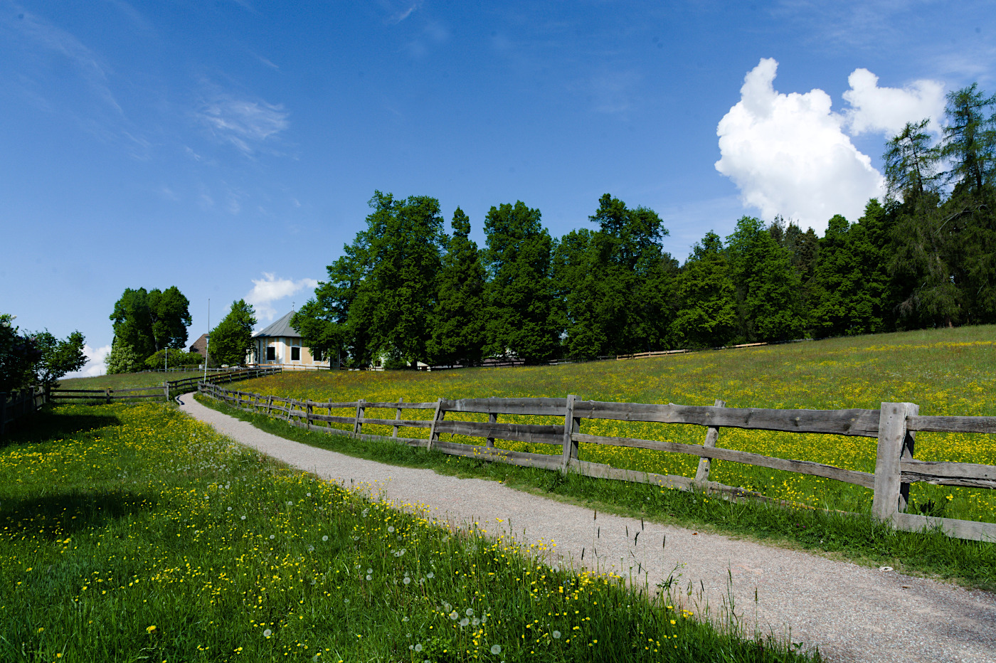 The path
