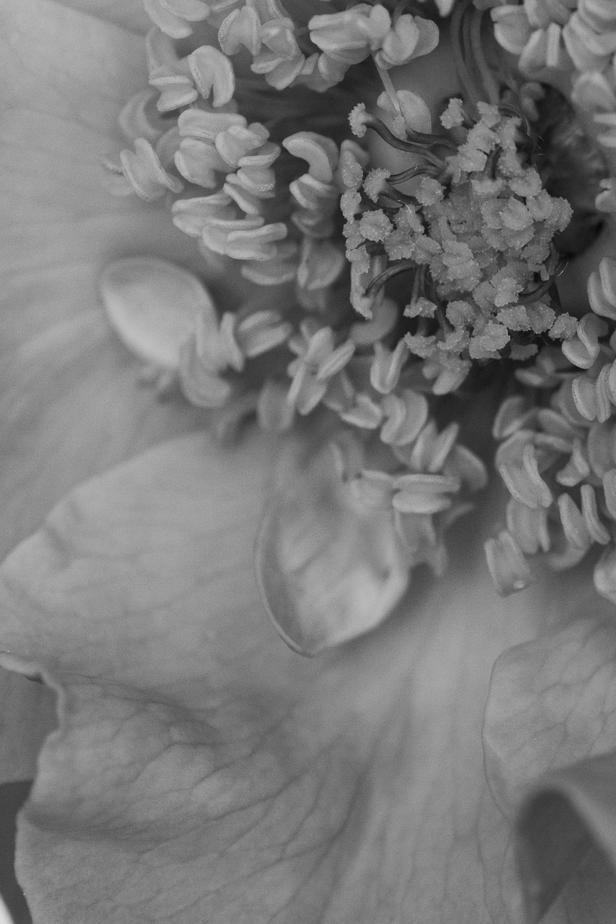 Untitled Photo