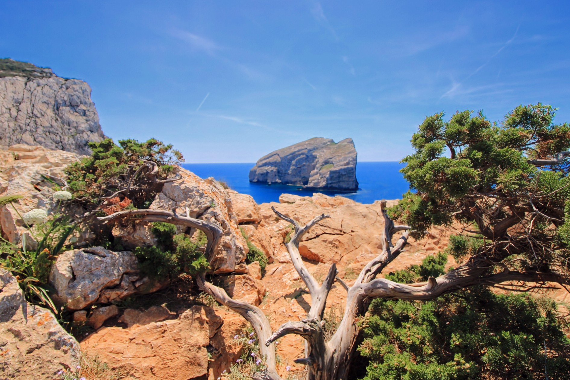 Orizzonti di Sardegna