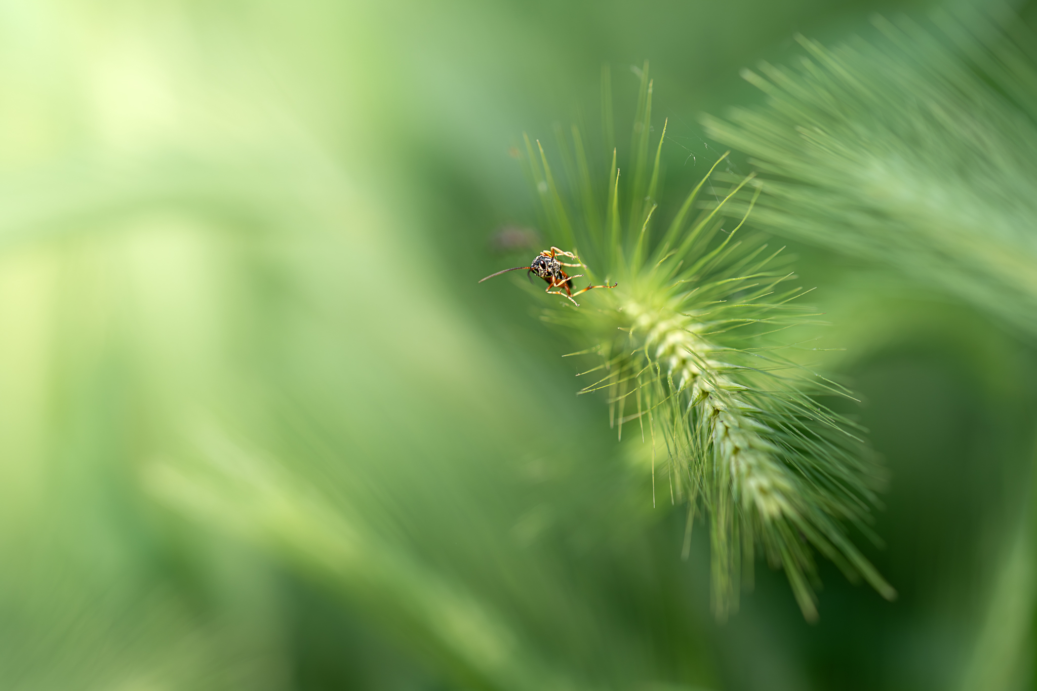 Untitled Photo
