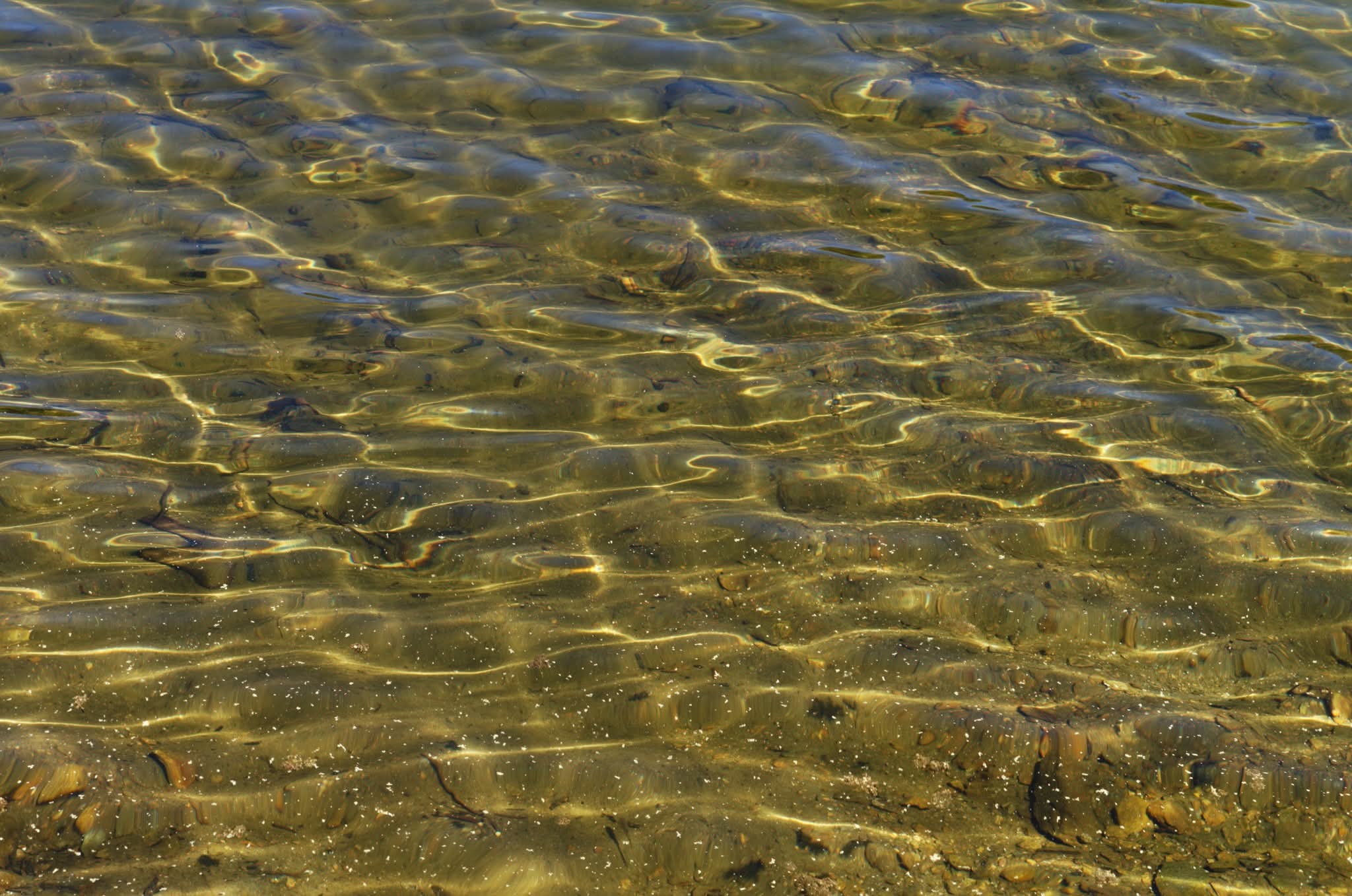 Water