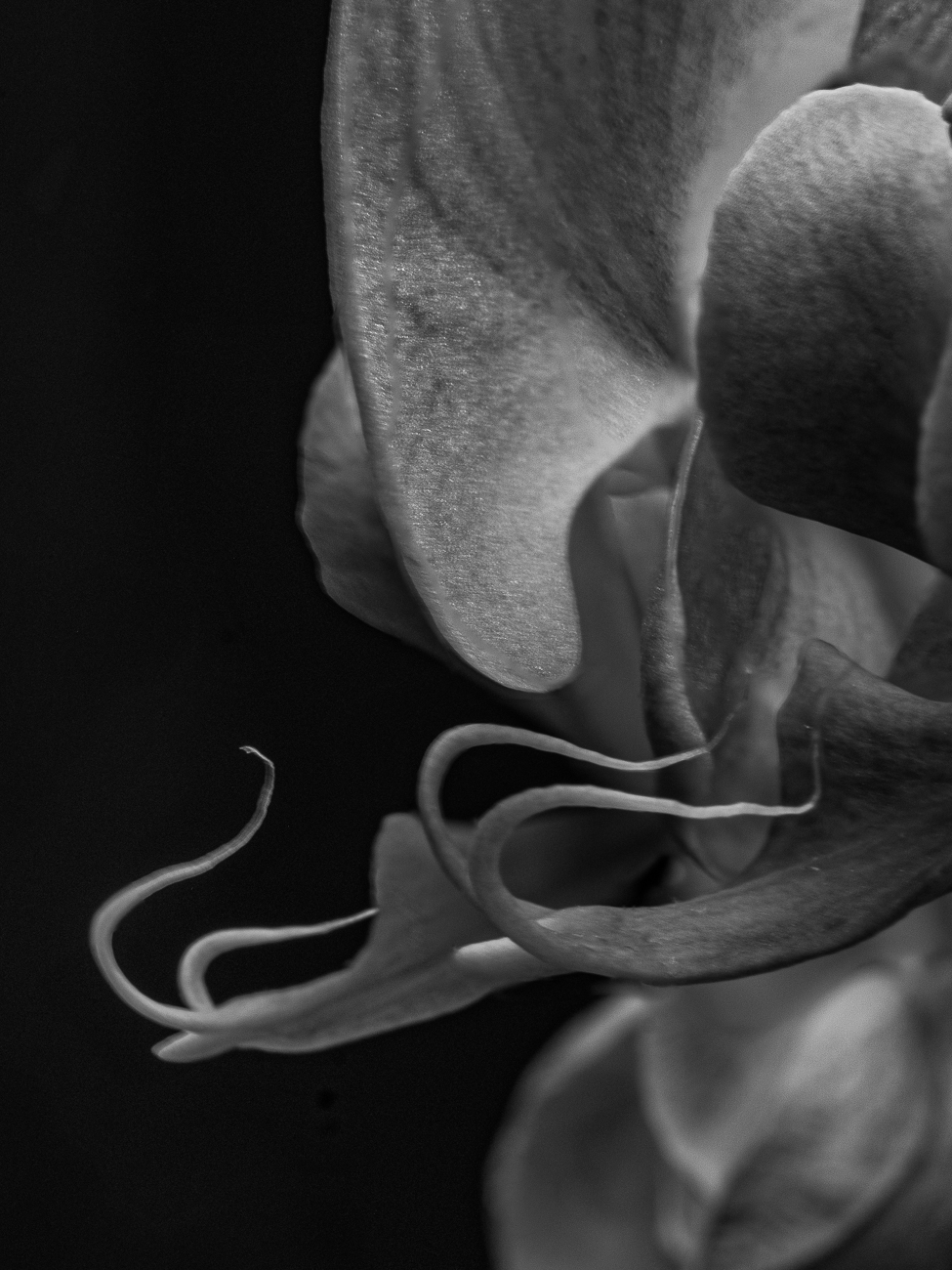 Untitled Photo