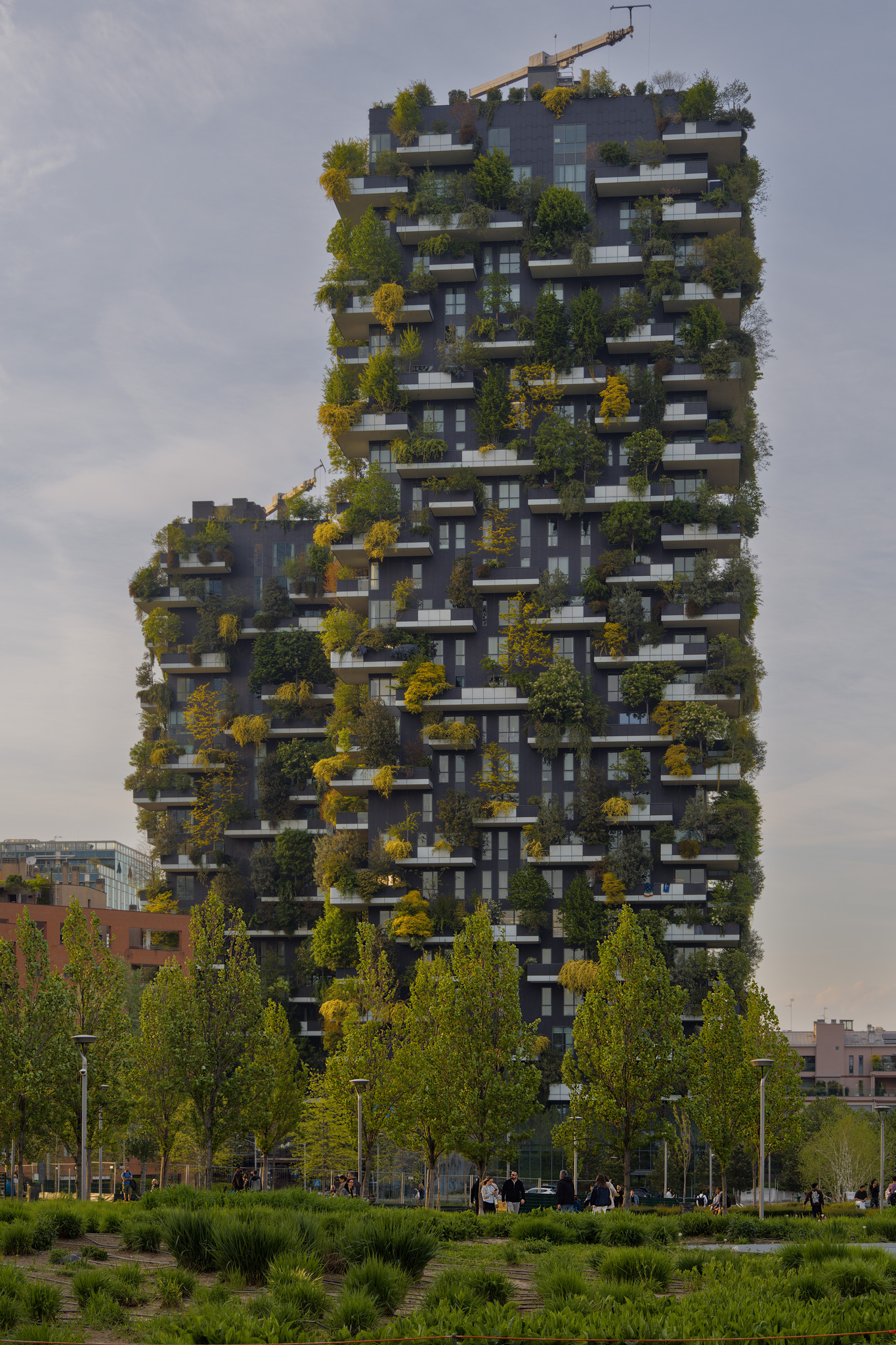 The vertical forest