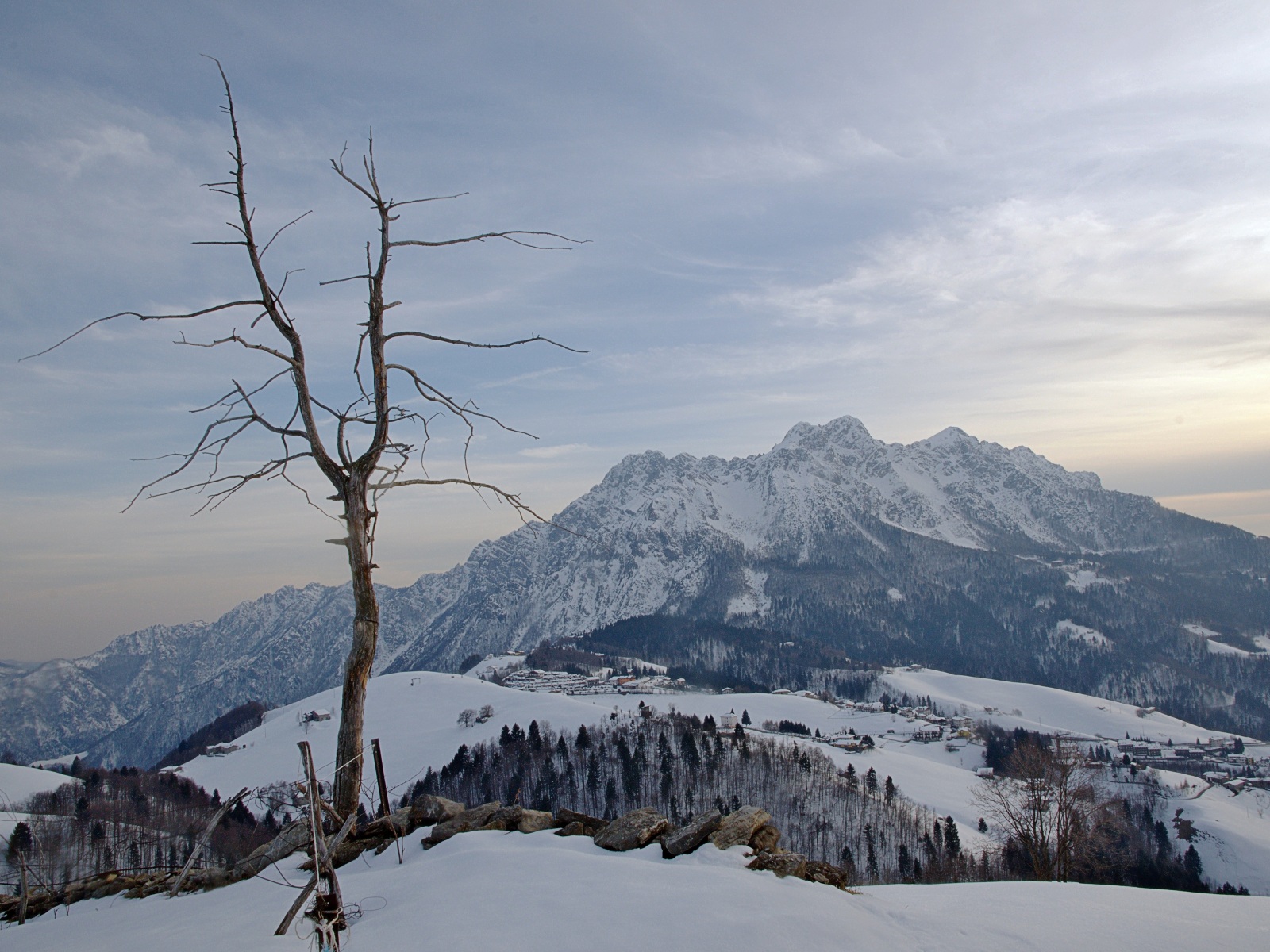 From the pastures of Zambla