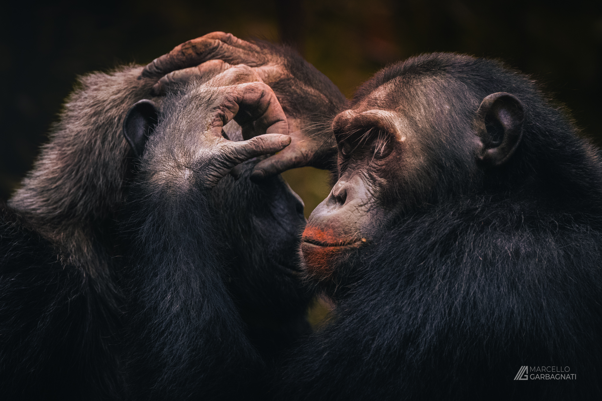 Grooming