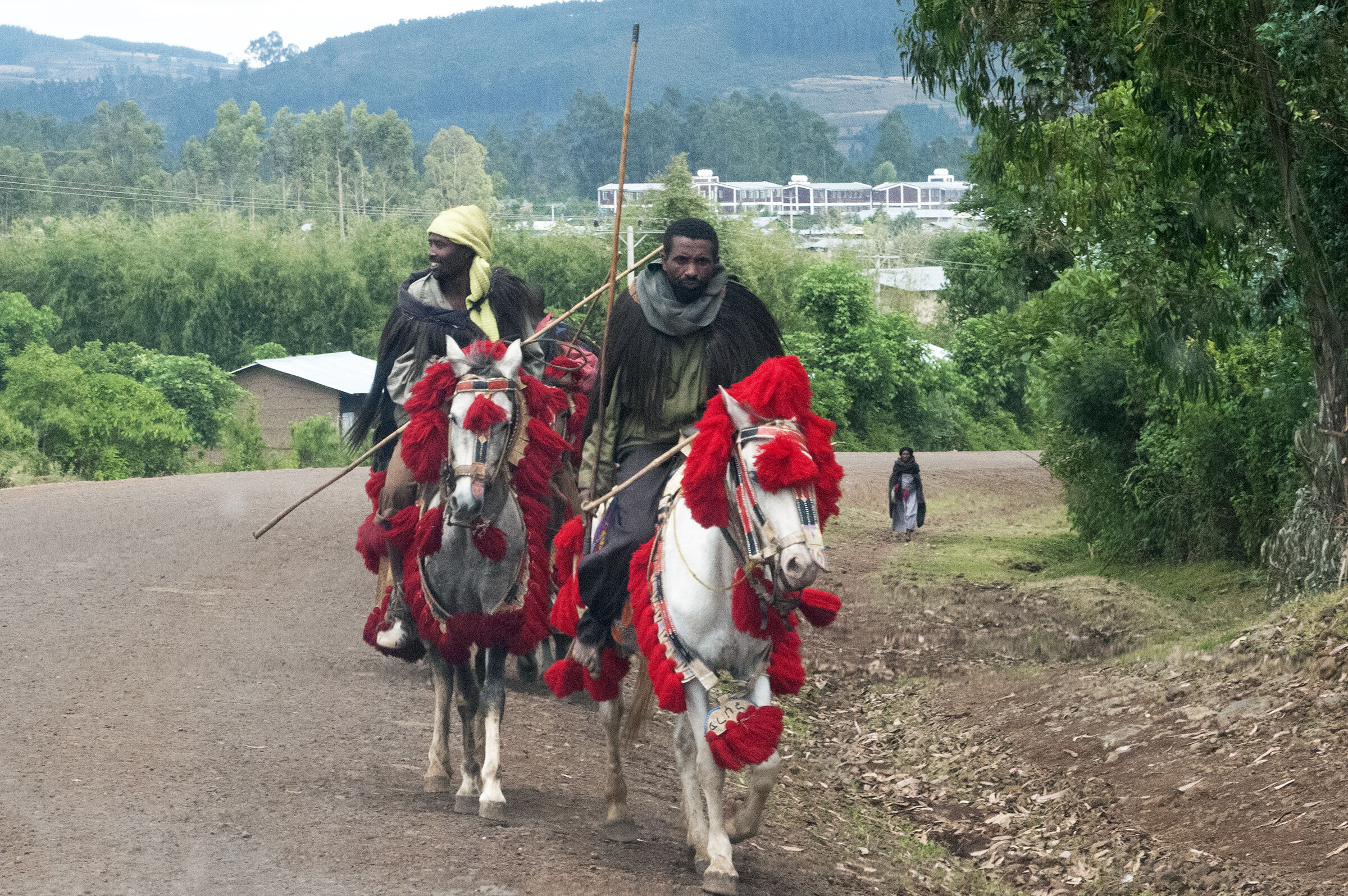 Ethiopian Knights