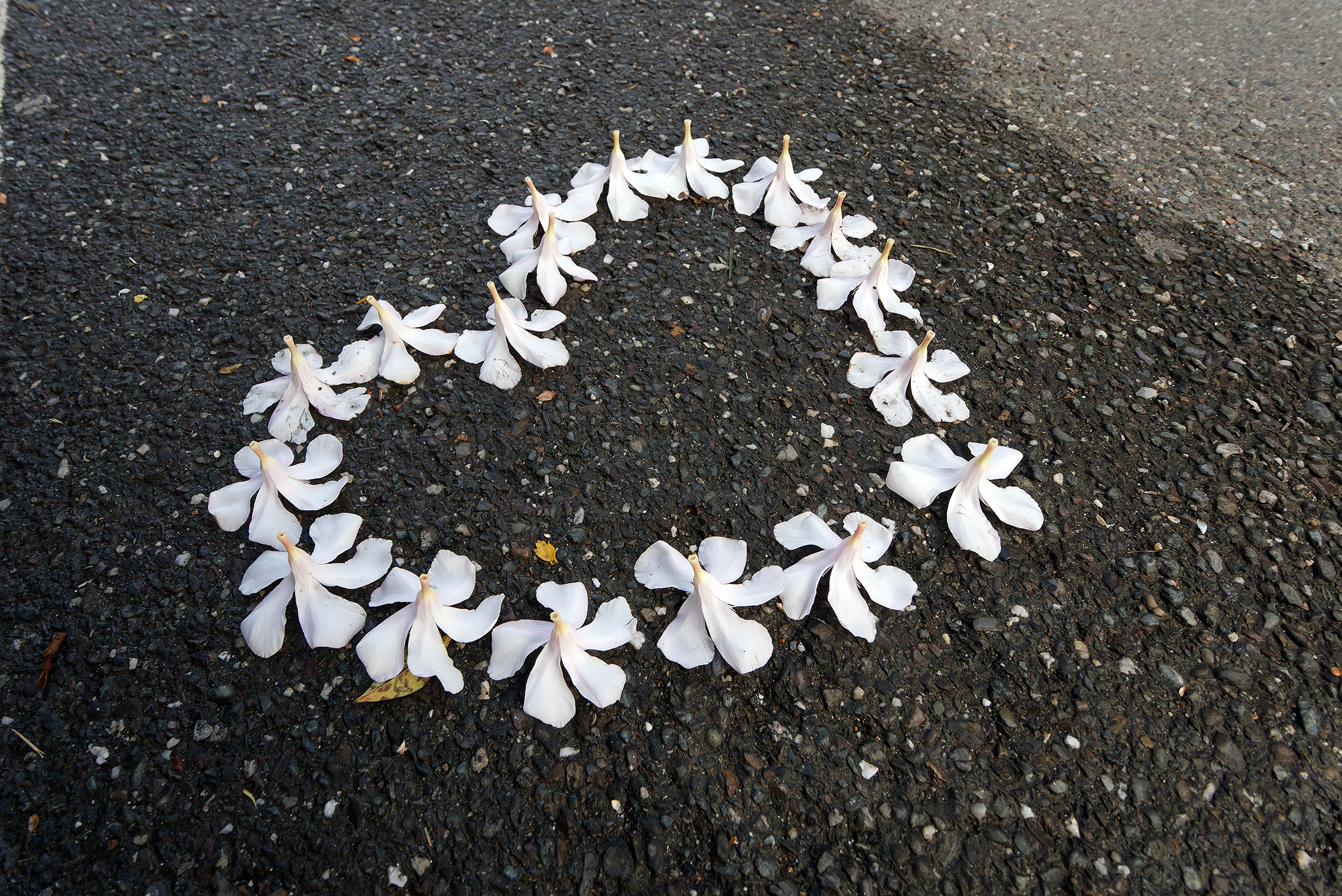 Heart with flowers