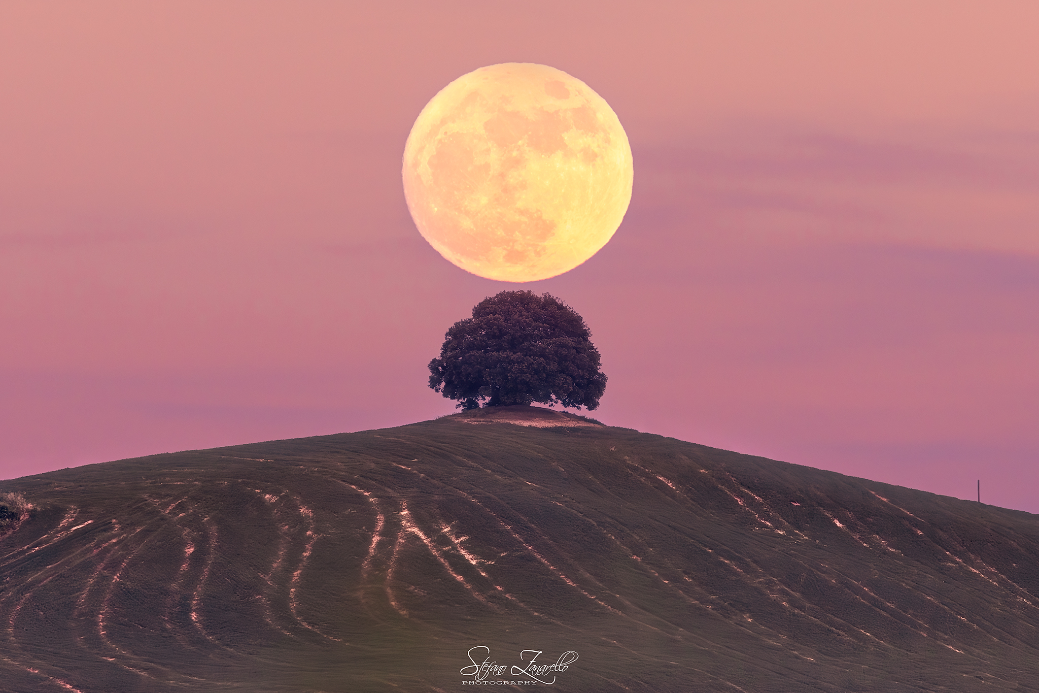 Il vecchio guardiano e la luna