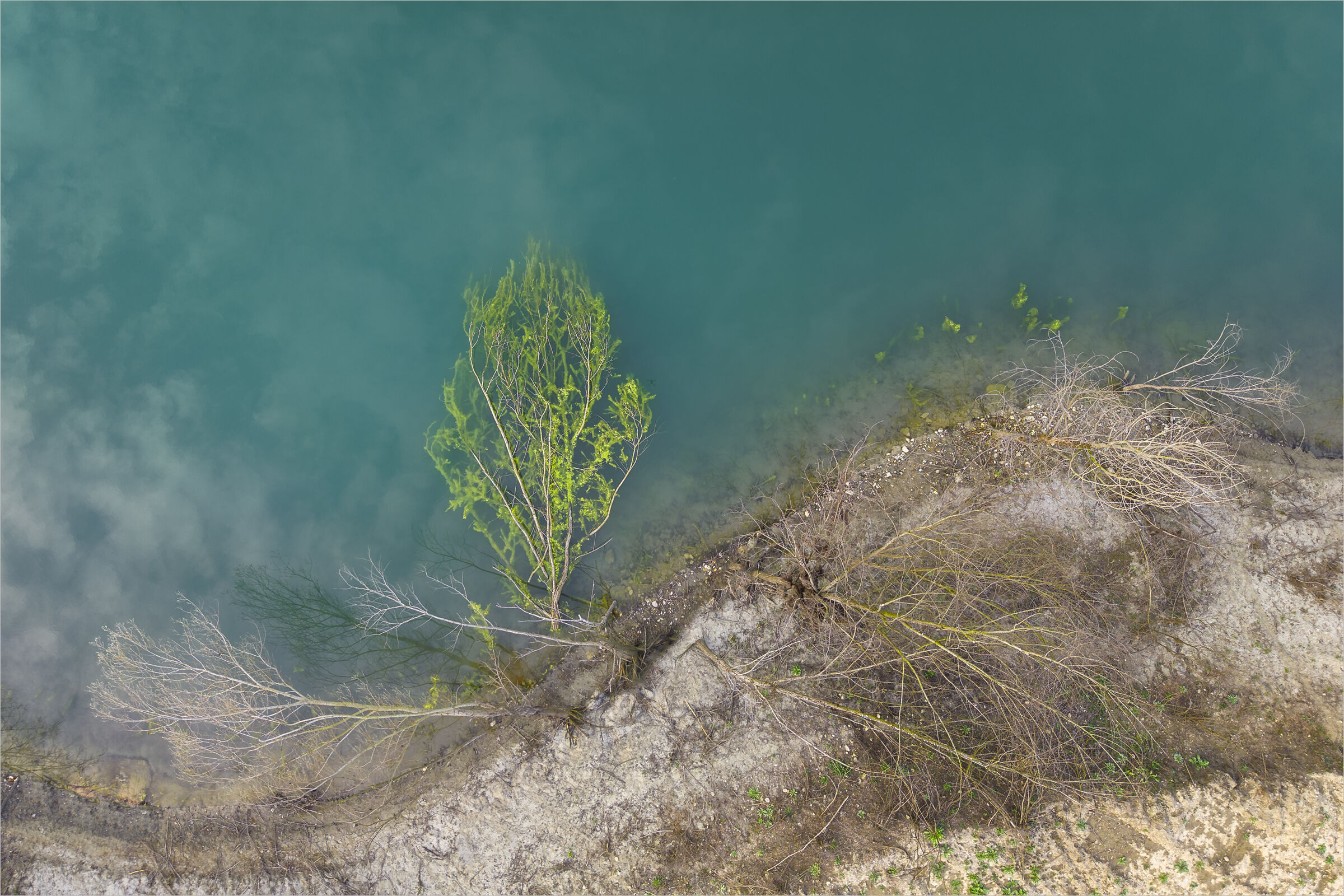 A Different Spring