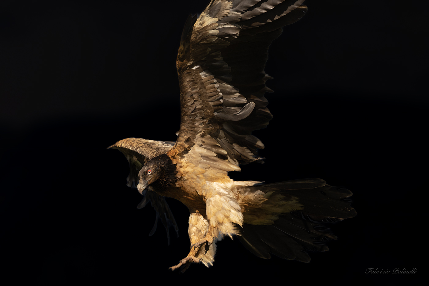 Landing