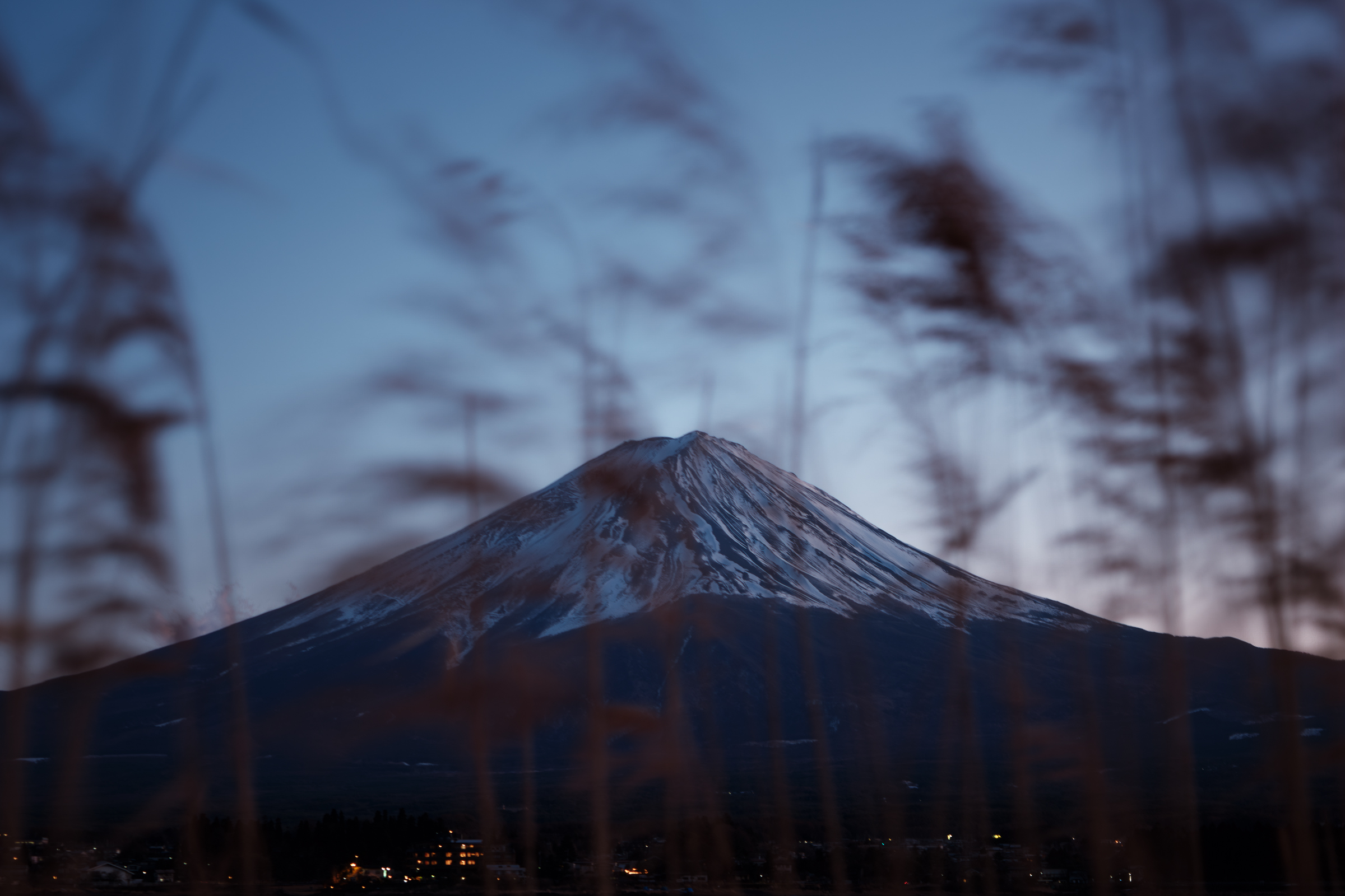 Delicate Fuji