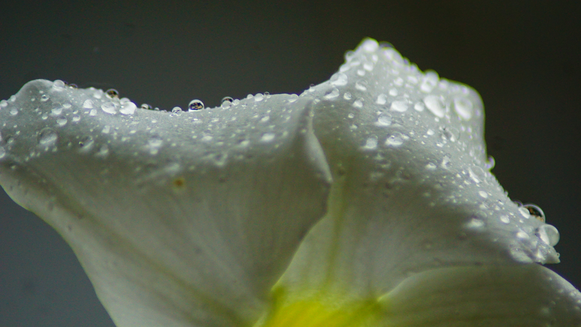 After the rain