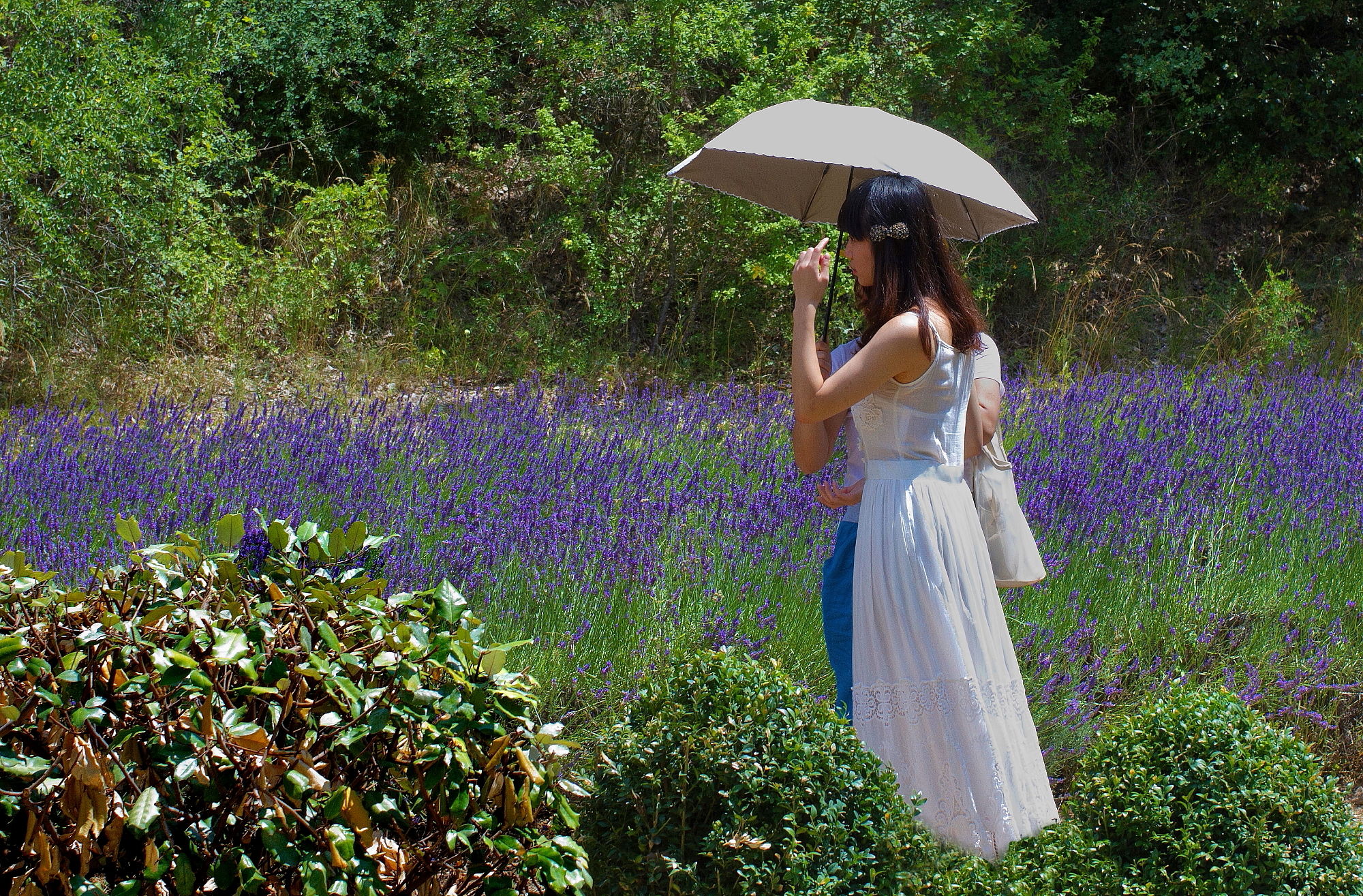 Giappone In Provenza