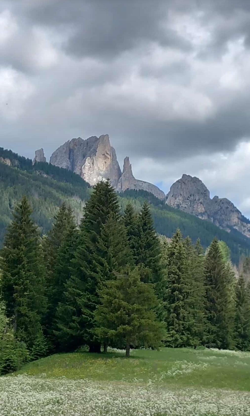 Val di fiemme