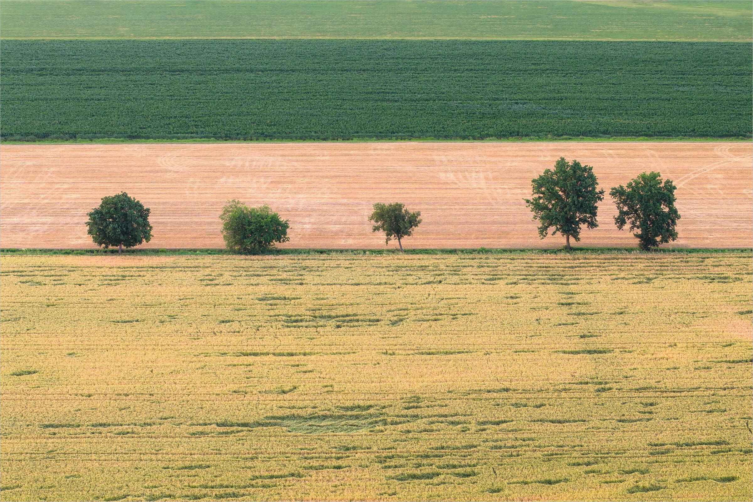 Stories of Wind and Wheat
