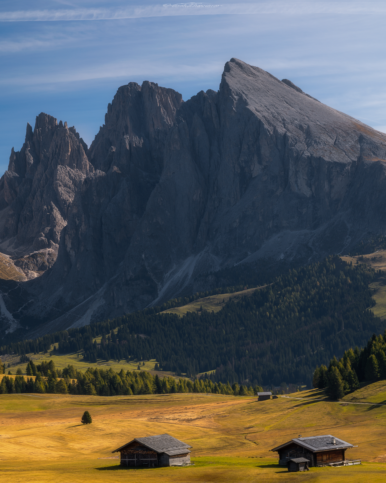 Alpi