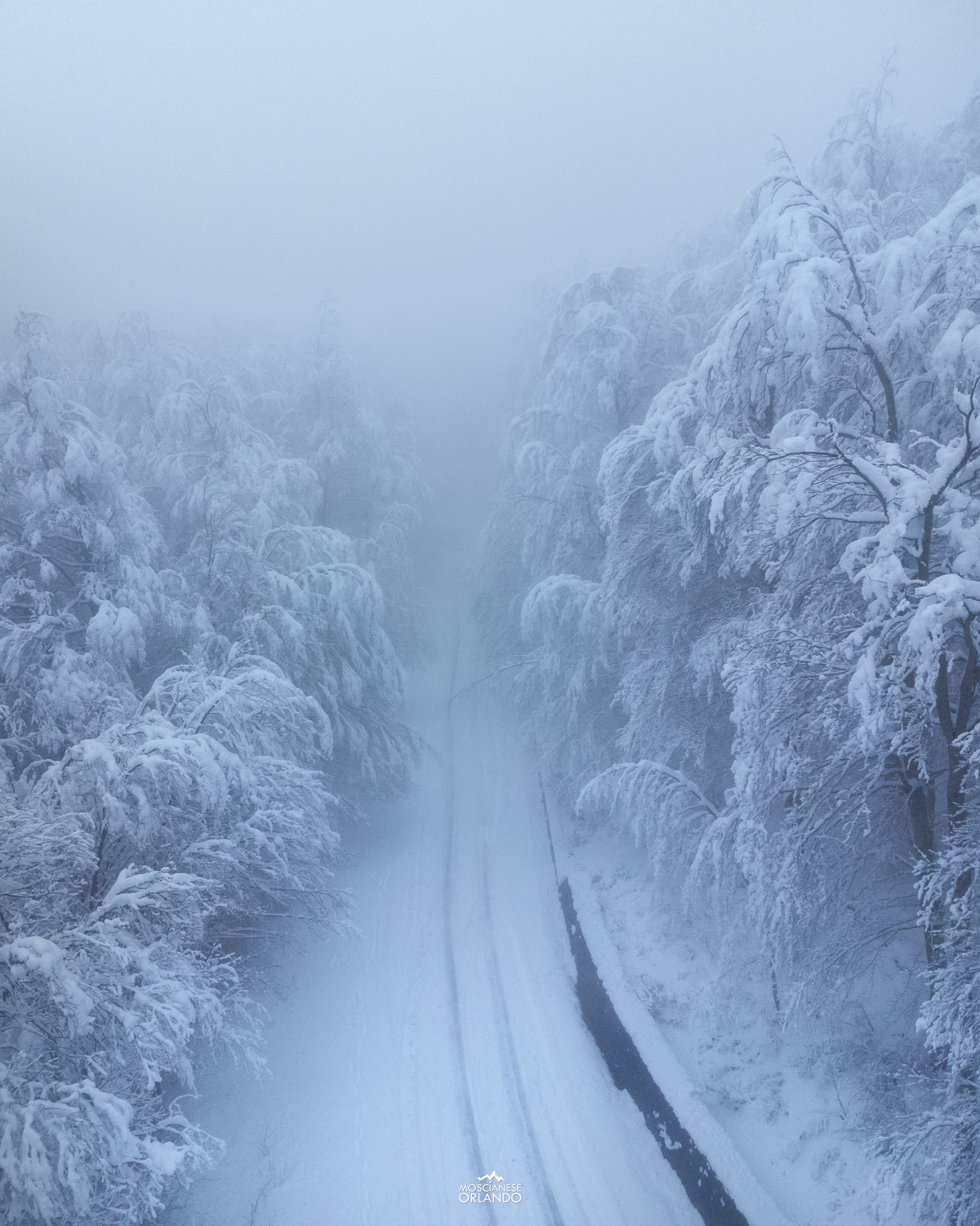 winter