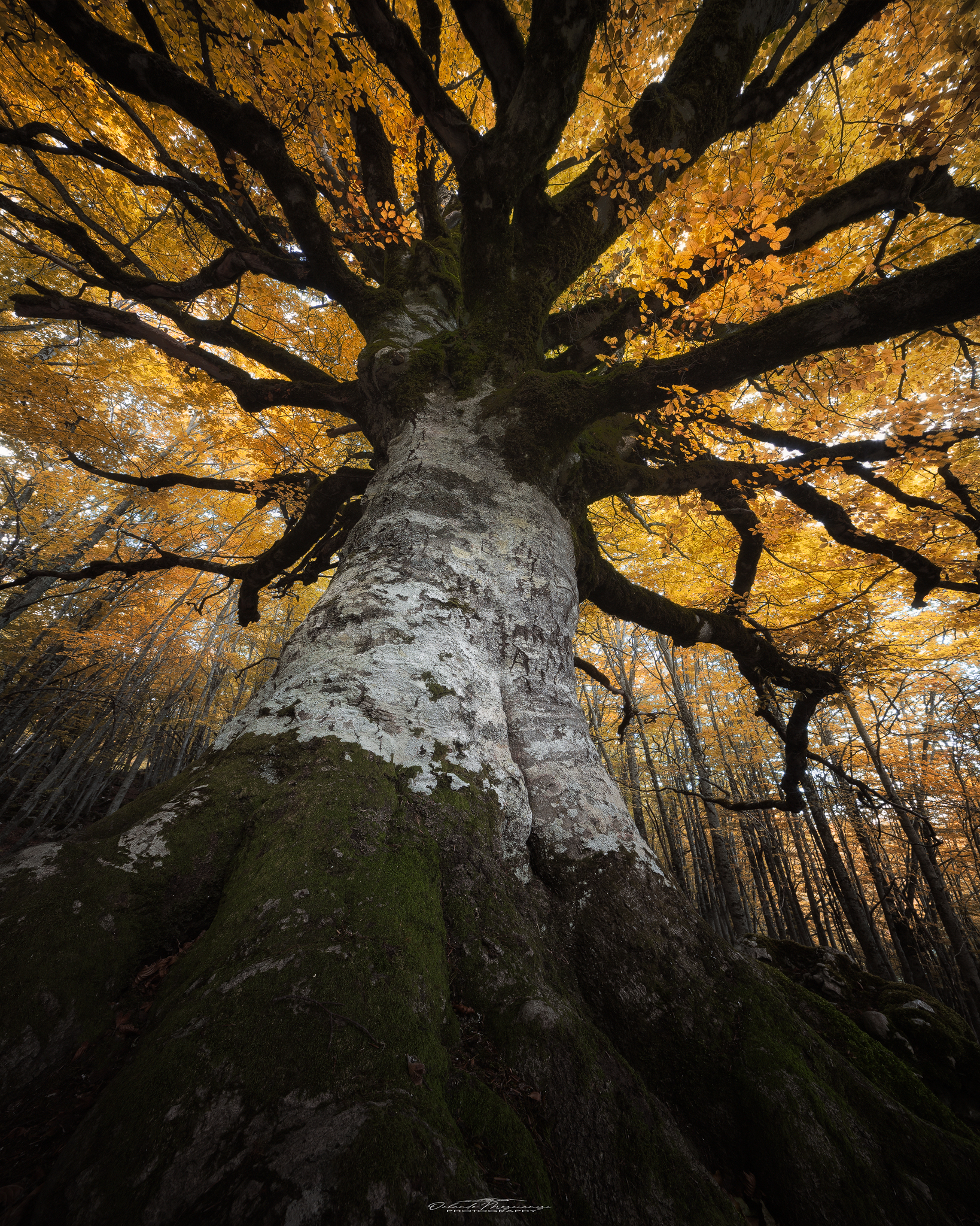 autunno