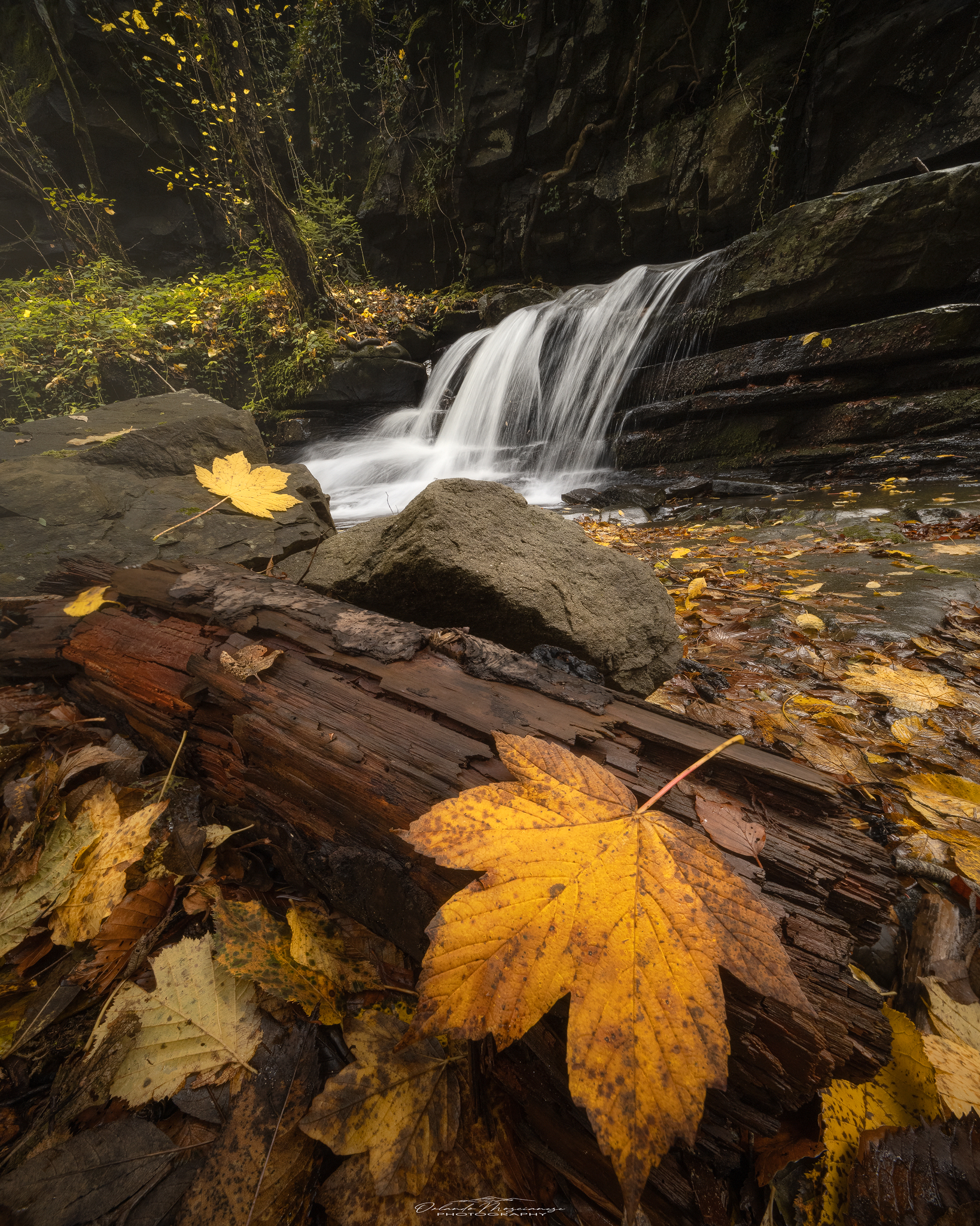 Autunno