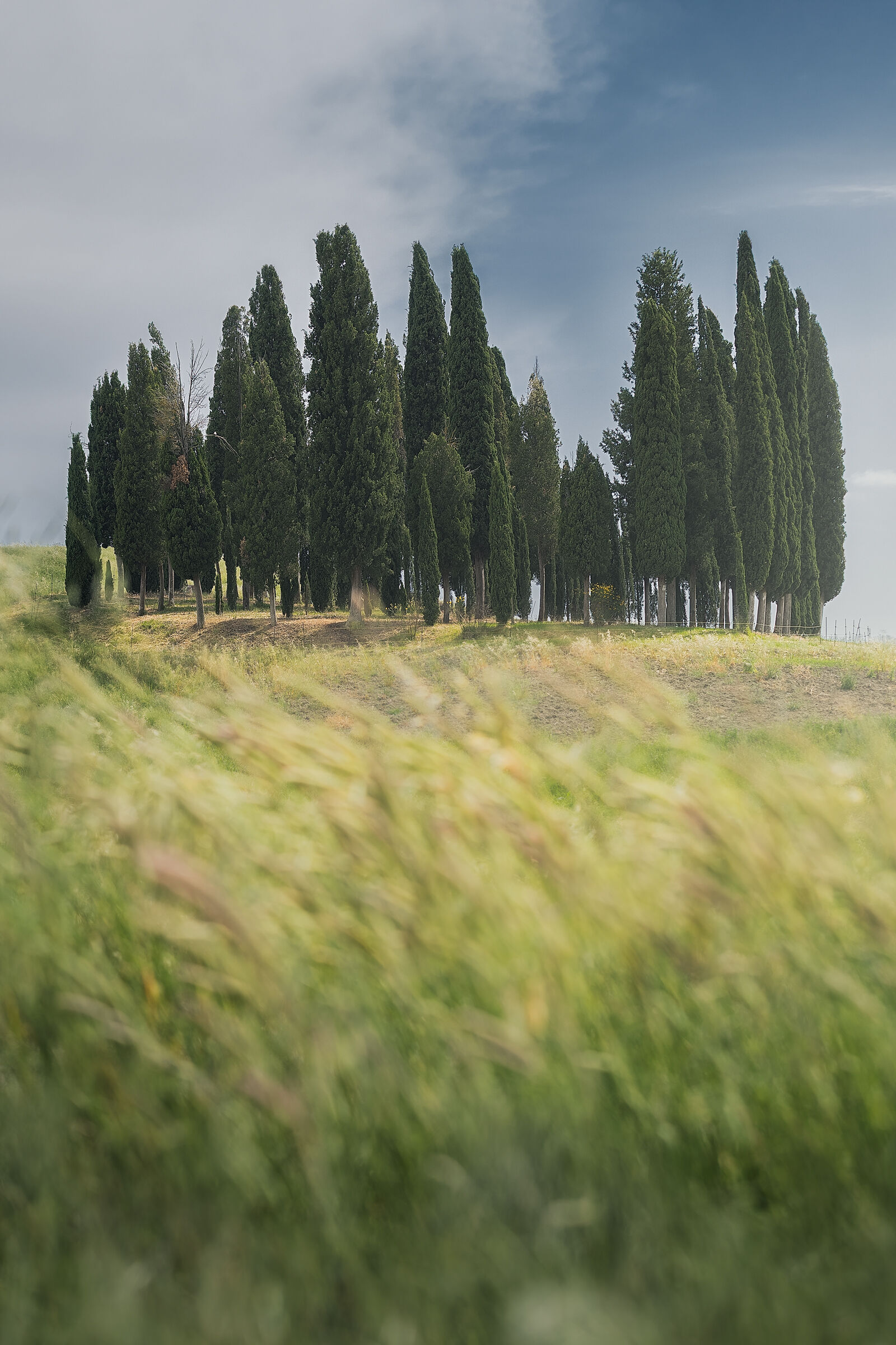 The breath of the hill