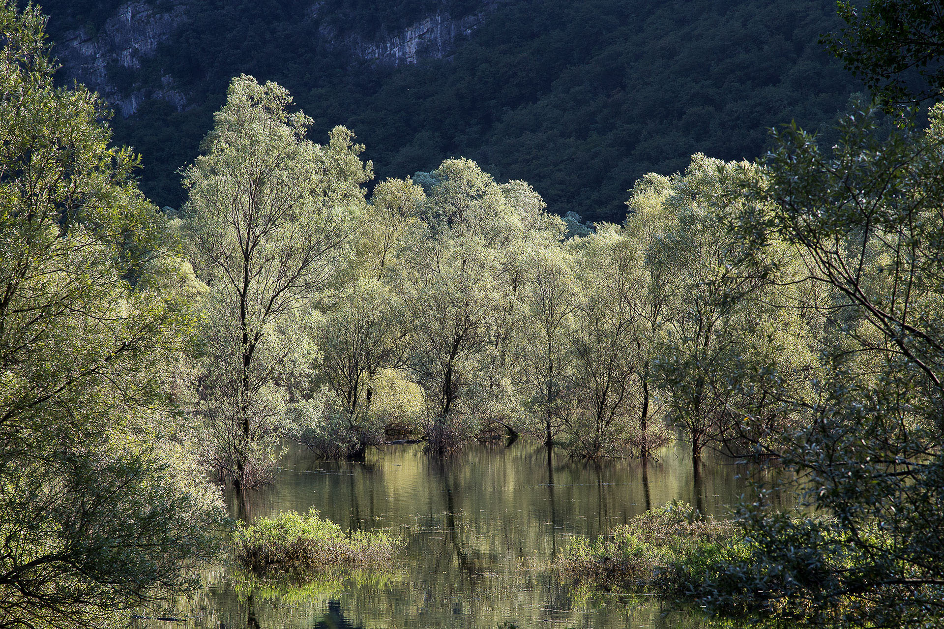 Lago di Loppio2