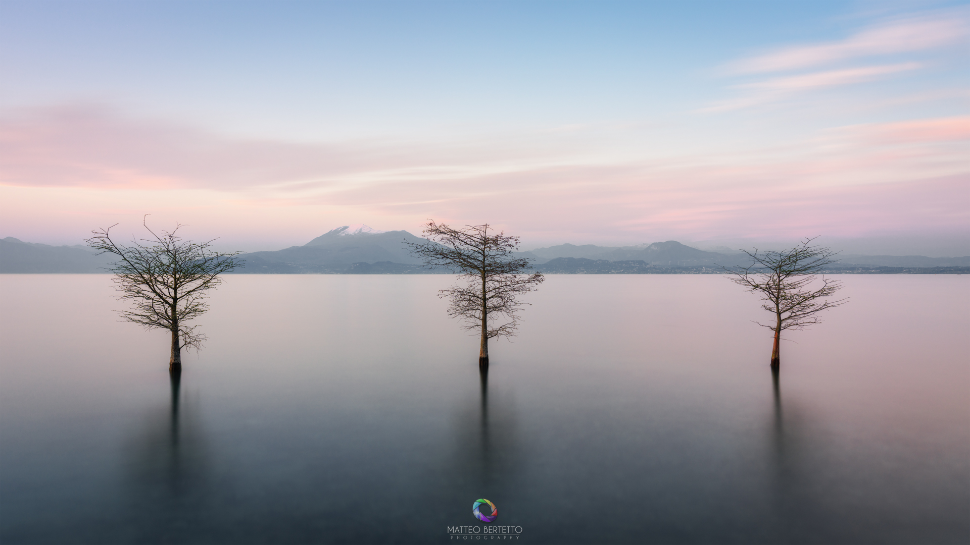 The Three Trees - Lugana di Sirmione