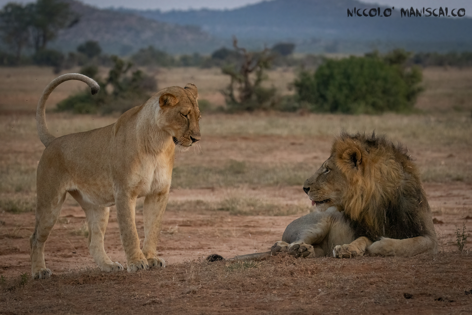 Sguardo d'Intesa (Botswana)