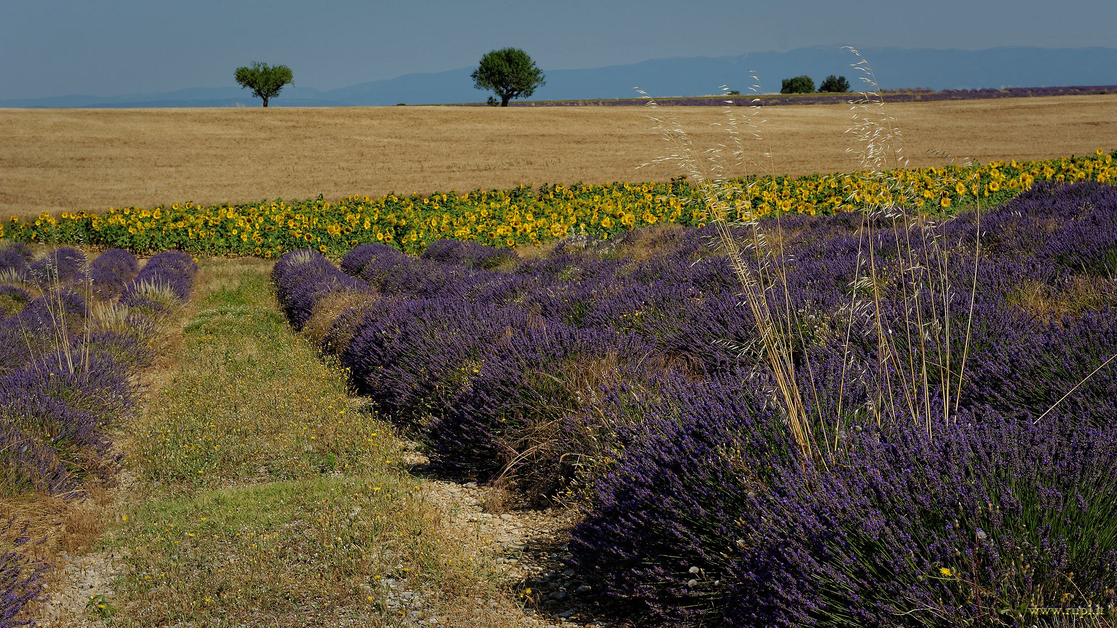 Colori complementari