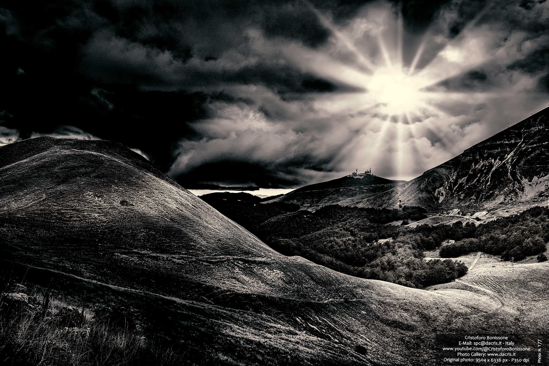 The stars of the sun - Photo 177