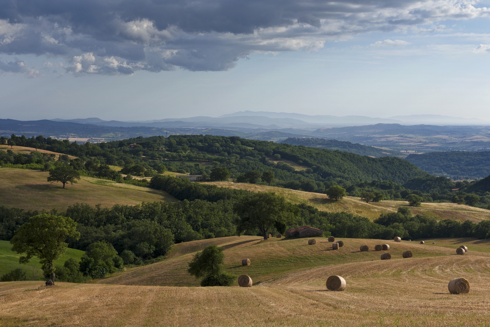 Maremma grossetana