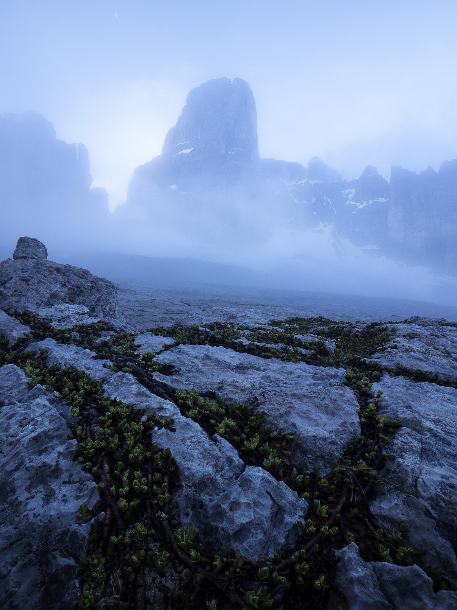 Bonsai in the Dolomites