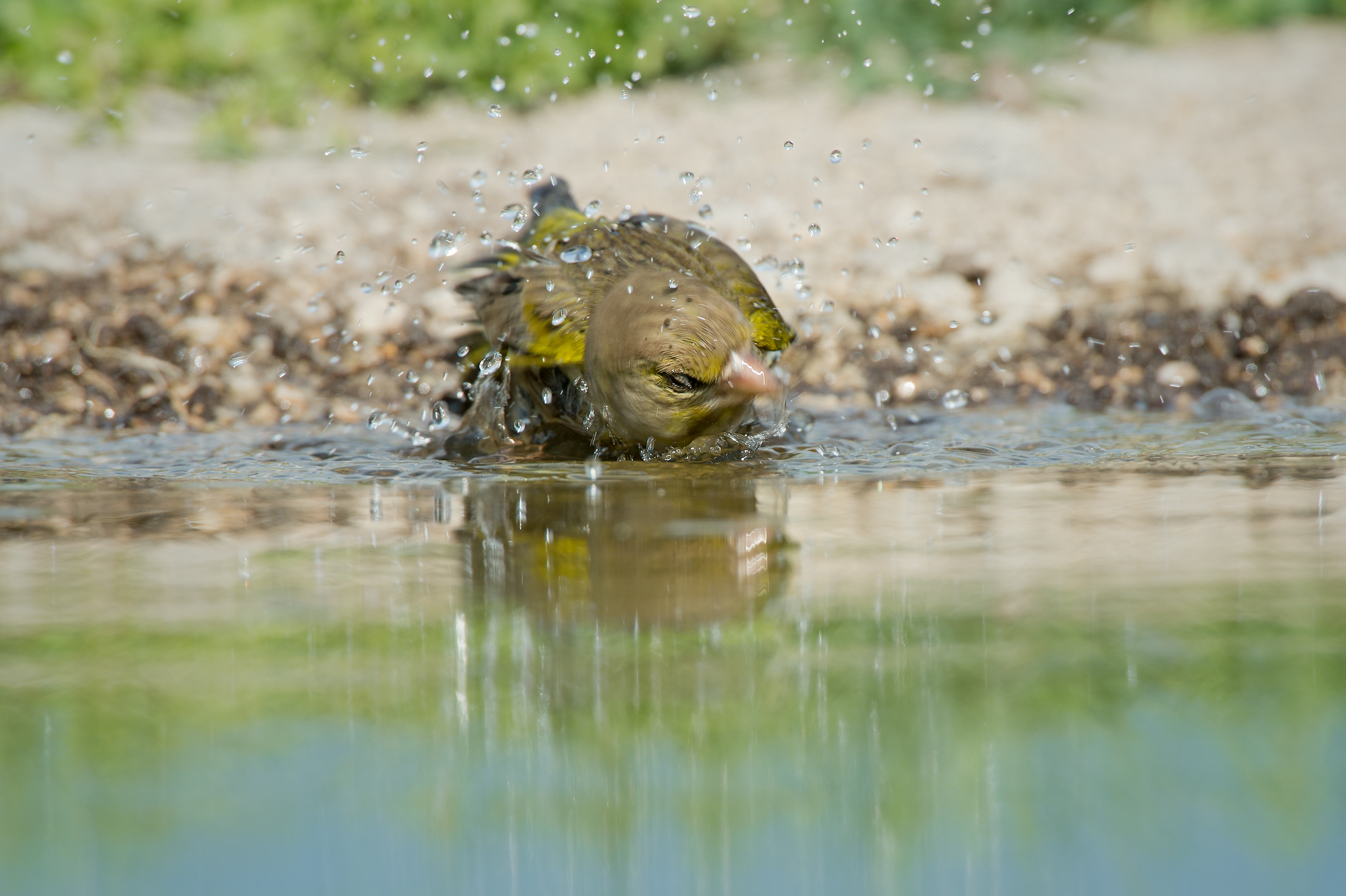 My head is spinning!